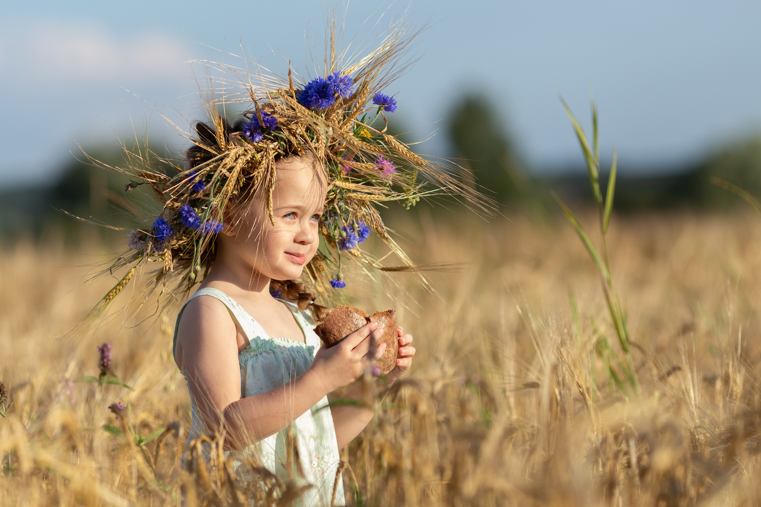 Настя. Вечер на ржаном поле. Актерское и модельное портфолио. Фотограф в Москве Екатерина Коломеец
