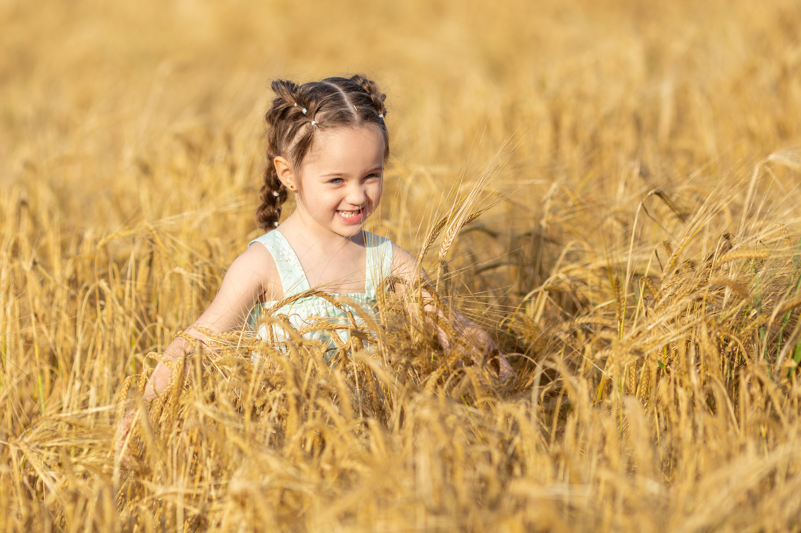Настя. Вечер на ржаном поле. Актерское и модельное портфолио. Фотограф в Москве Екатерина Коломеец