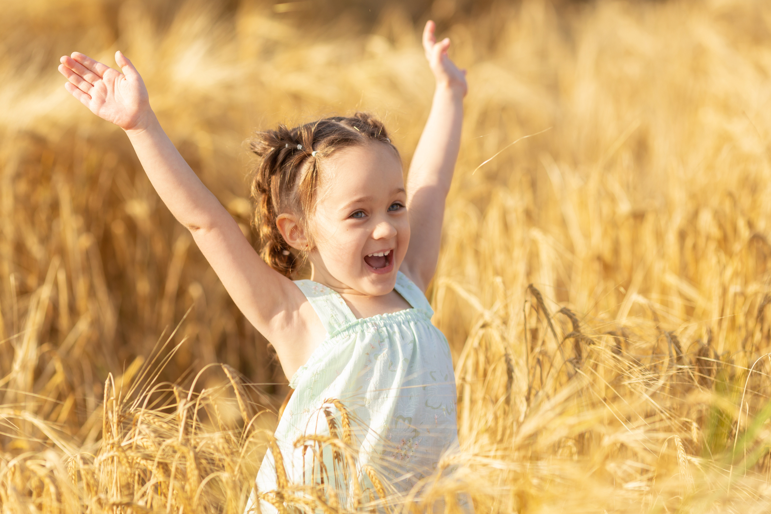Настя. Вечер на ржаном поле. Актерское и модельное портфолио. Фотограф в Москве Екатерина Коломеец