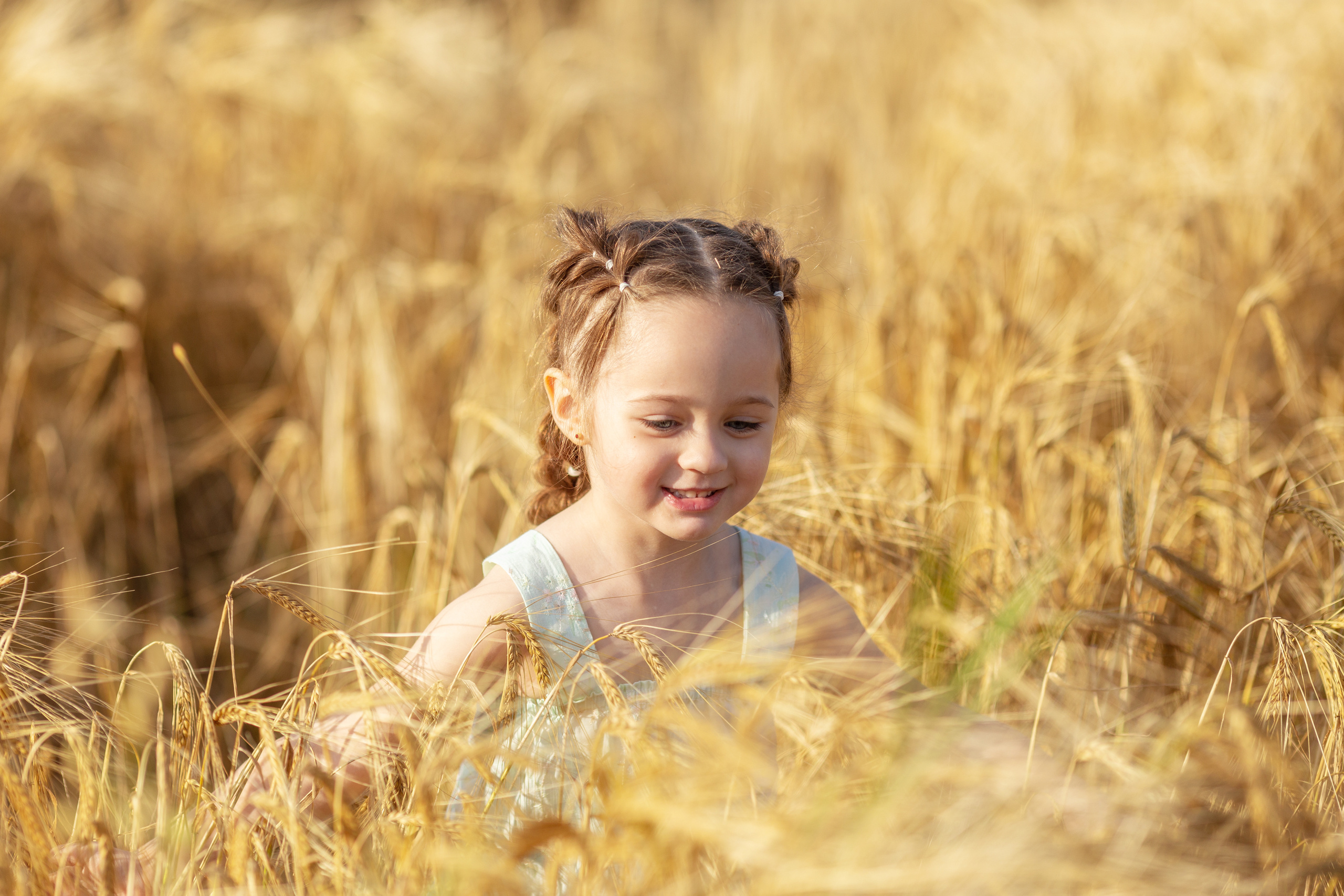 Настя. Вечер на ржаном поле. Актерское и модельное портфолио. Фотограф в Москве Екатерина Коломеец