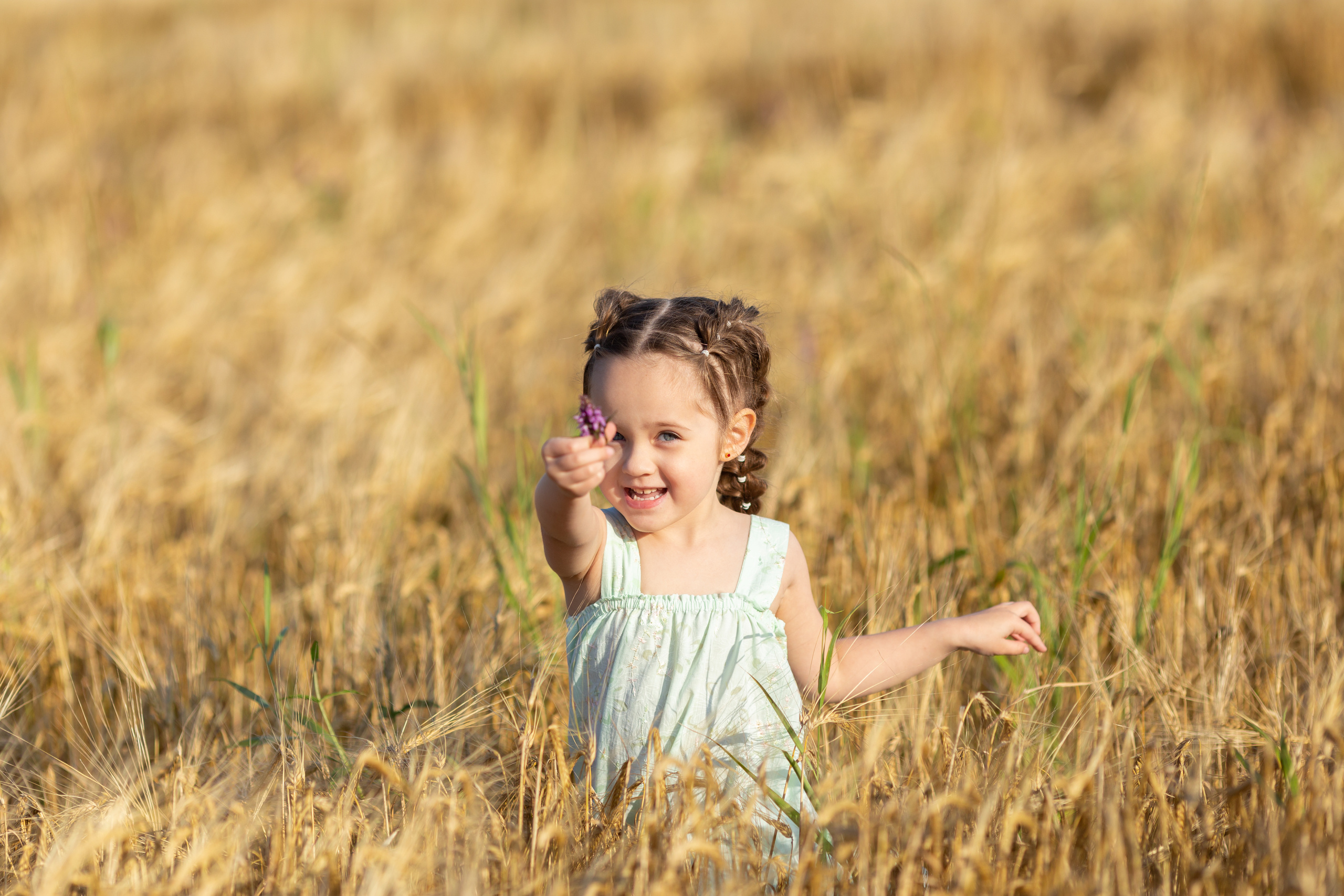 Настя. Вечер на ржаном поле. Актерское и модельное портфолио. Фотограф в Москве Екатерина Коломеец