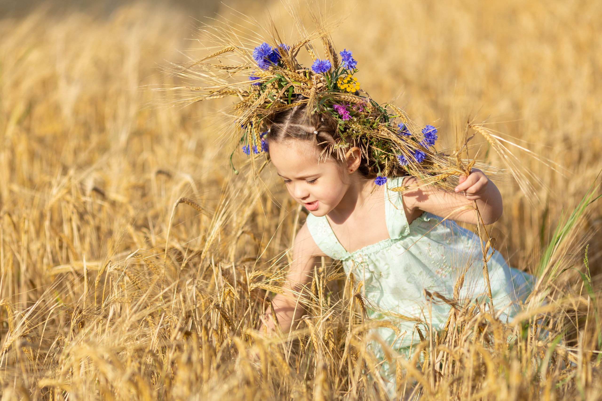 Настя. Вечер на ржаном поле. Актерское и модельное портфолио. Фотограф в Москве Екатерина Коломеец