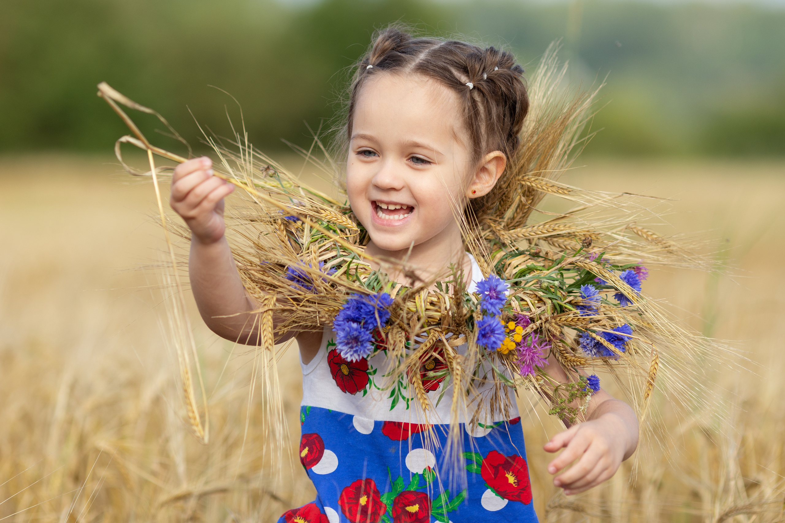 Настя. Вечер на ржаном поле. Актерское и модельное портфолио. Фотограф в Москве Екатерина Коломеец