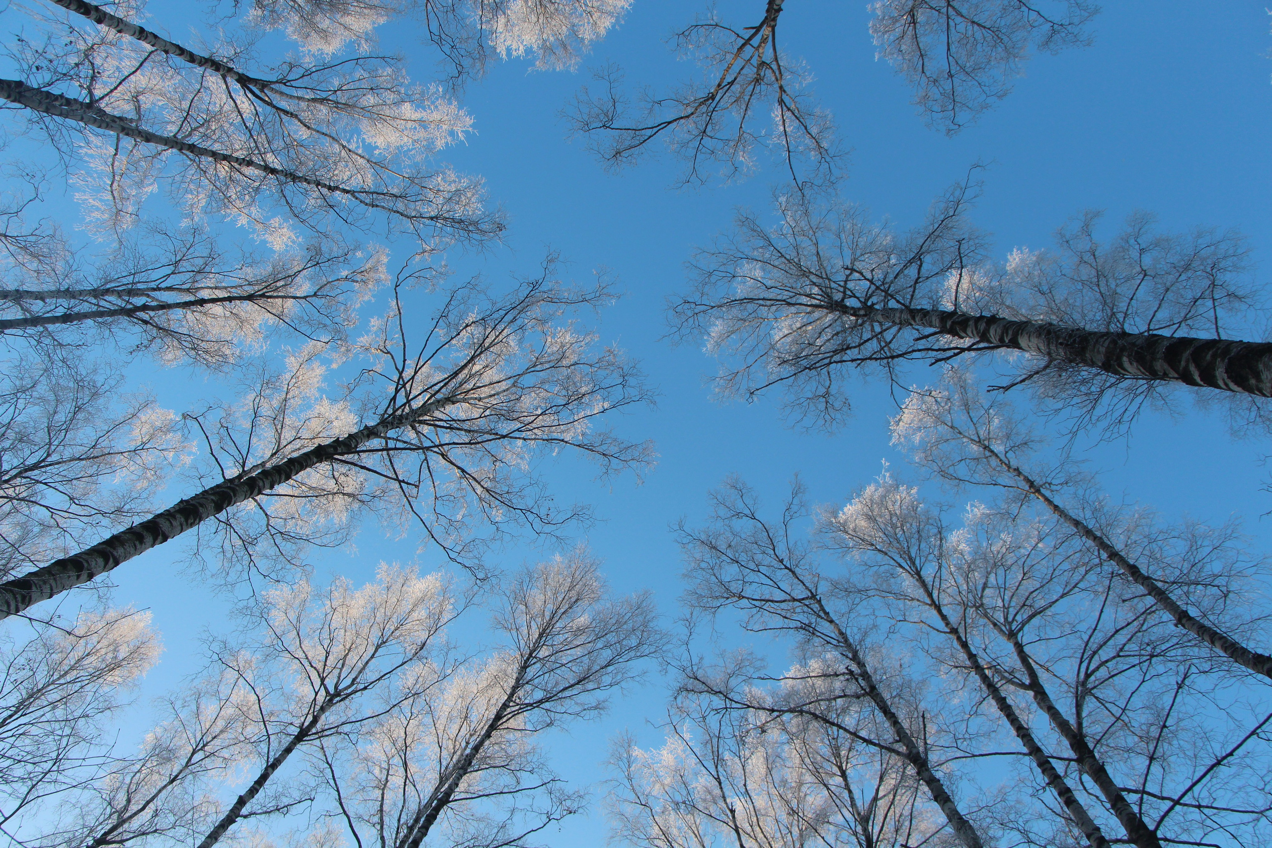 Пазлы. Фотохудожник Татьяна Бойцова
