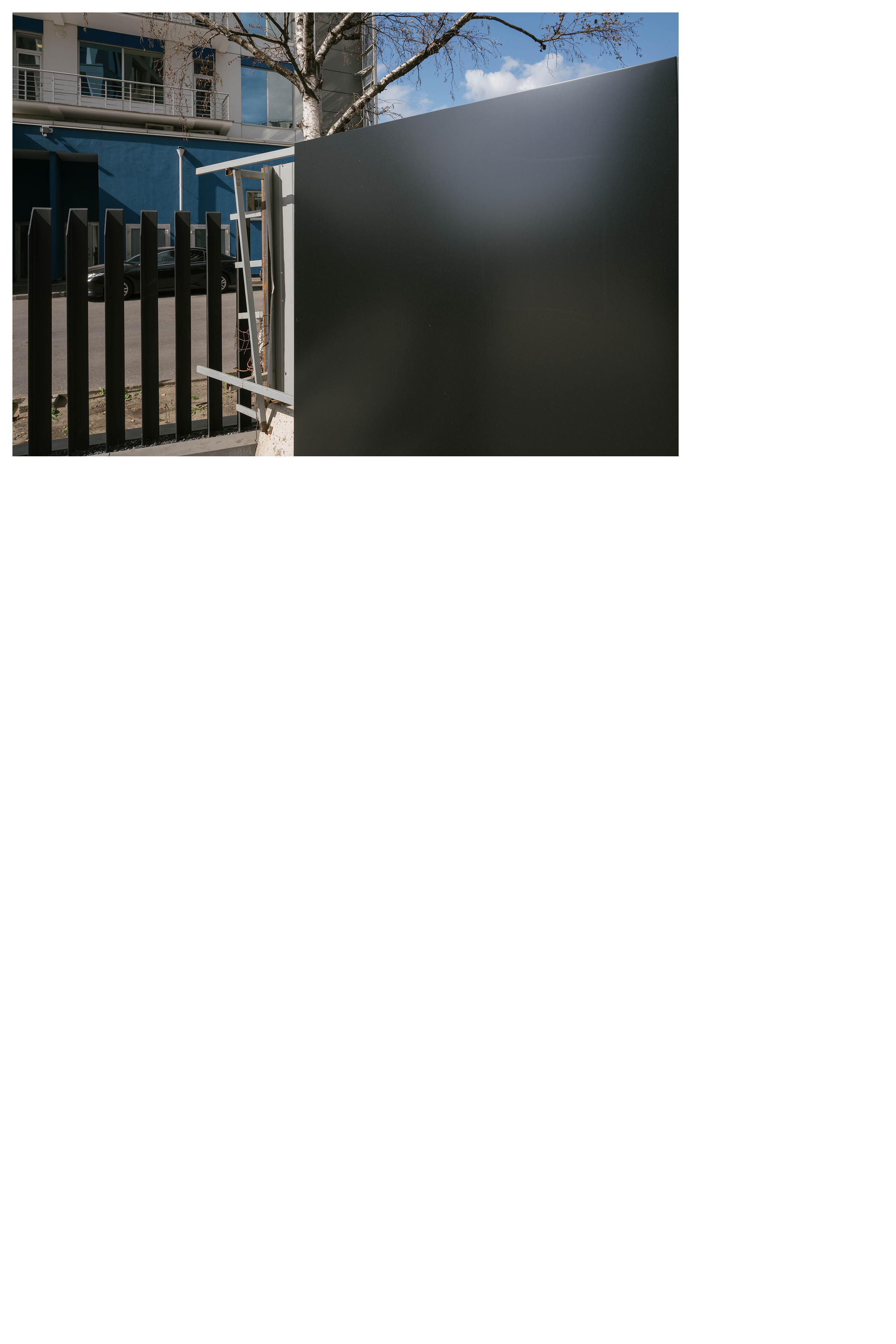 KAMELIYA. Shyjungle's Portfolio