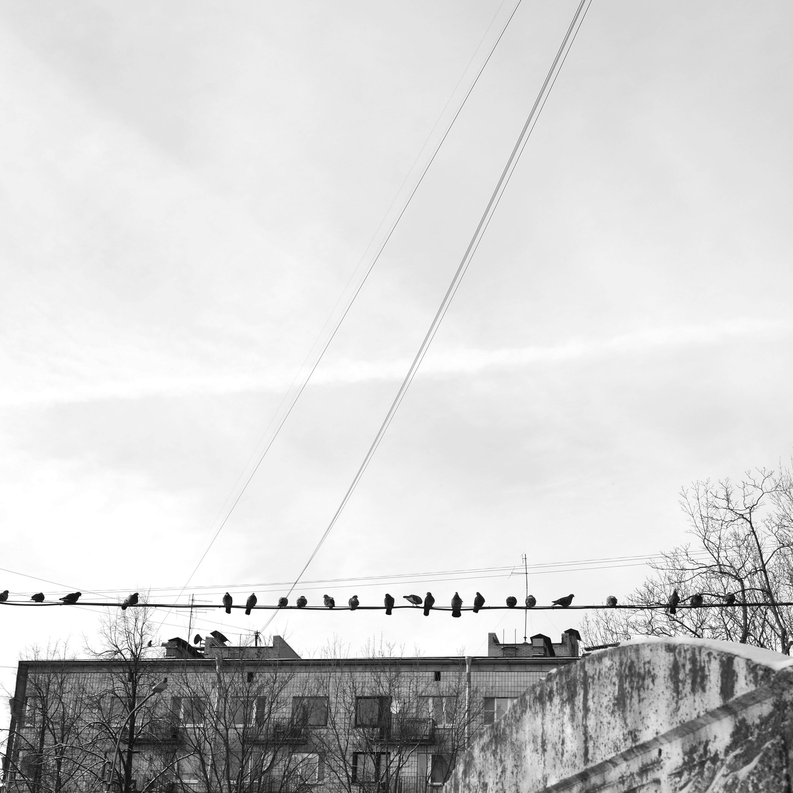 03 14. Shyjungle's Portfolio