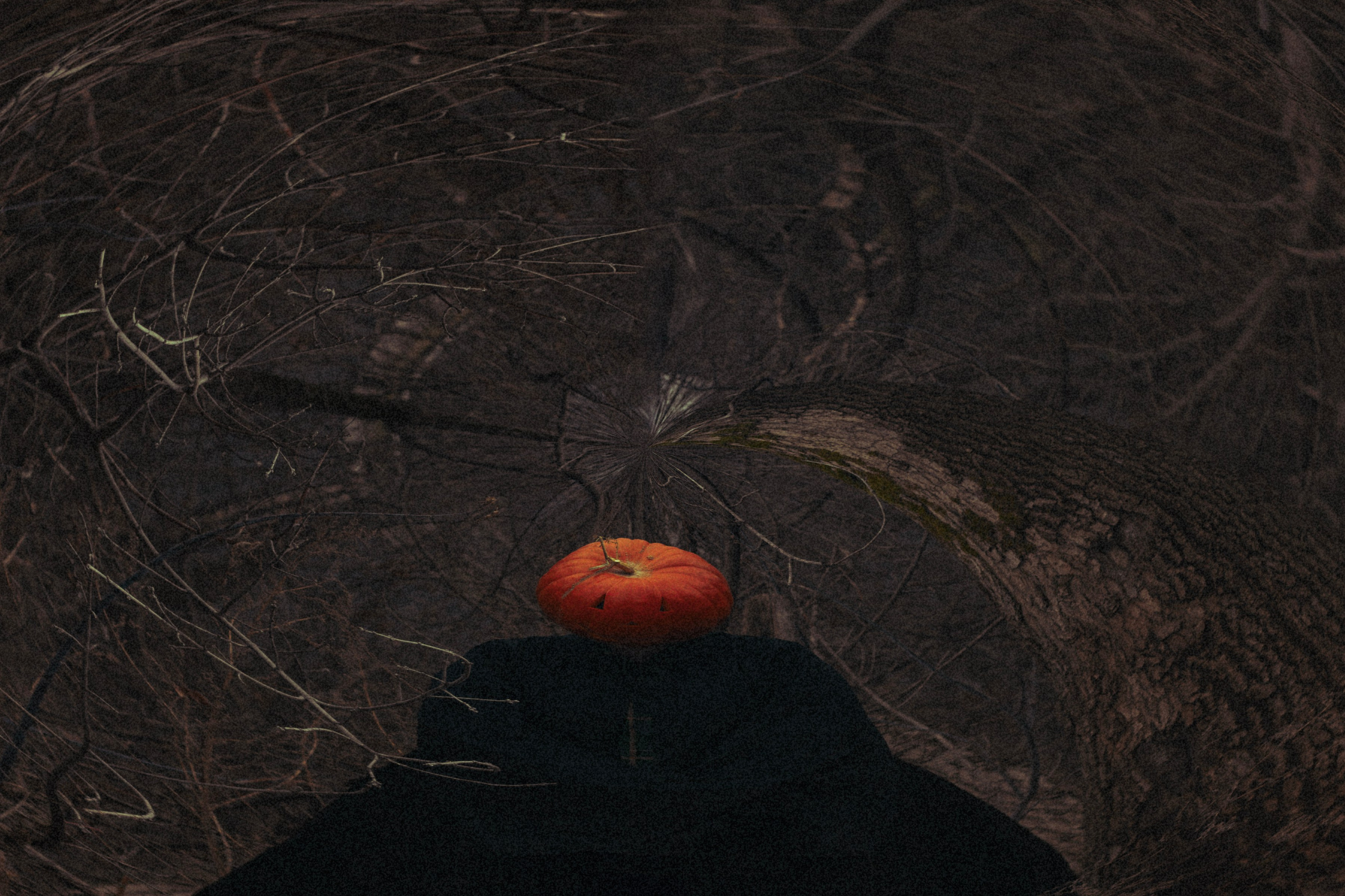 Проект «тыквоголовые». Фотограф Удмуртия