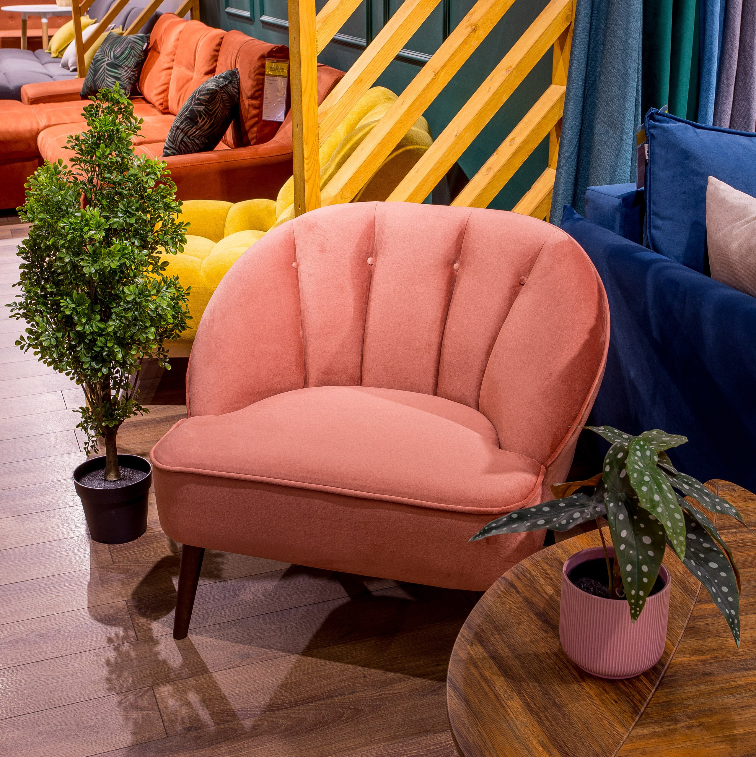 Sofas beds. Interior photographer Vitalii in Portland and Vancouver