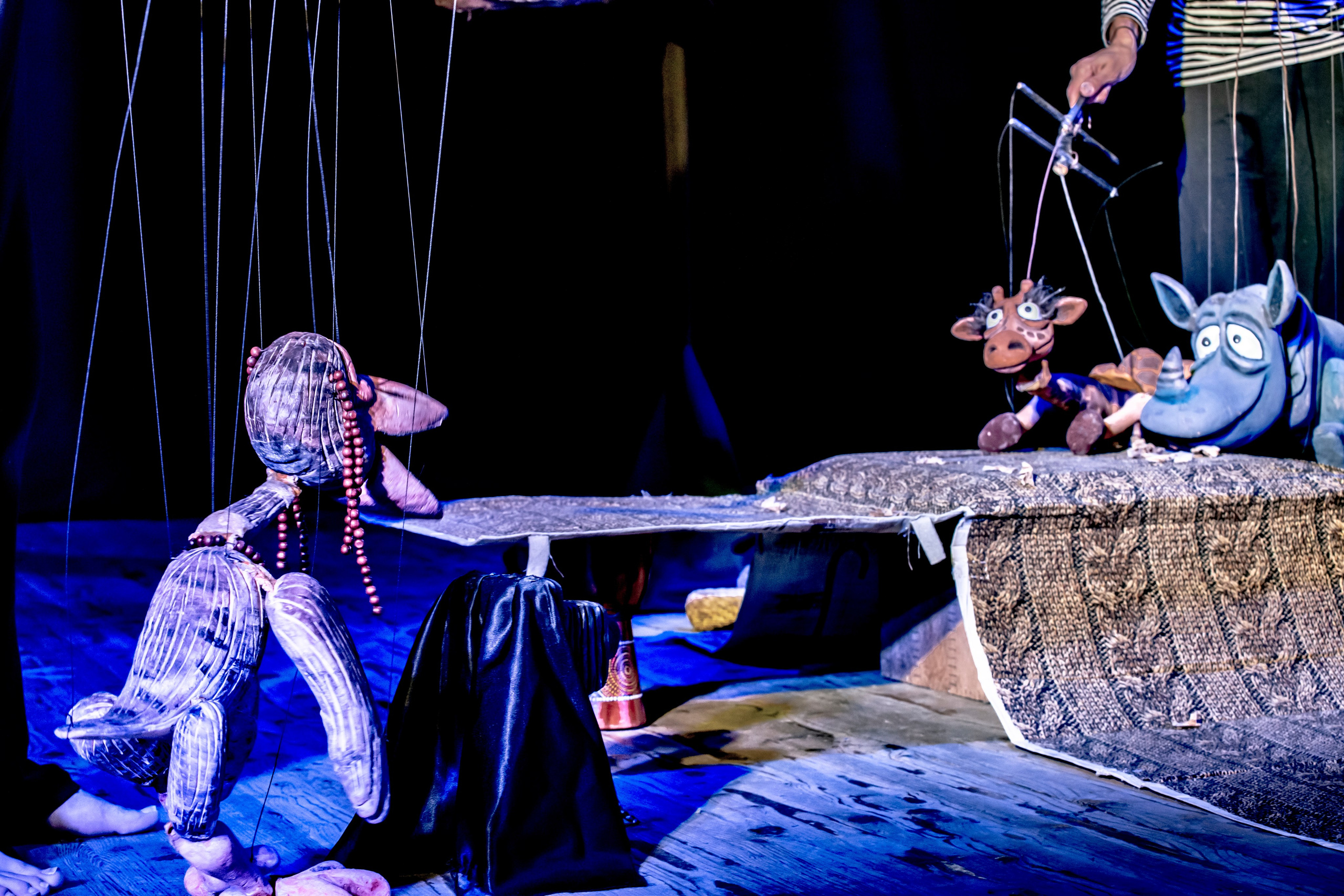 Жирафа и носорог спектакль театра Саквояж. Фотограф в Сочи Юрий Шептаев