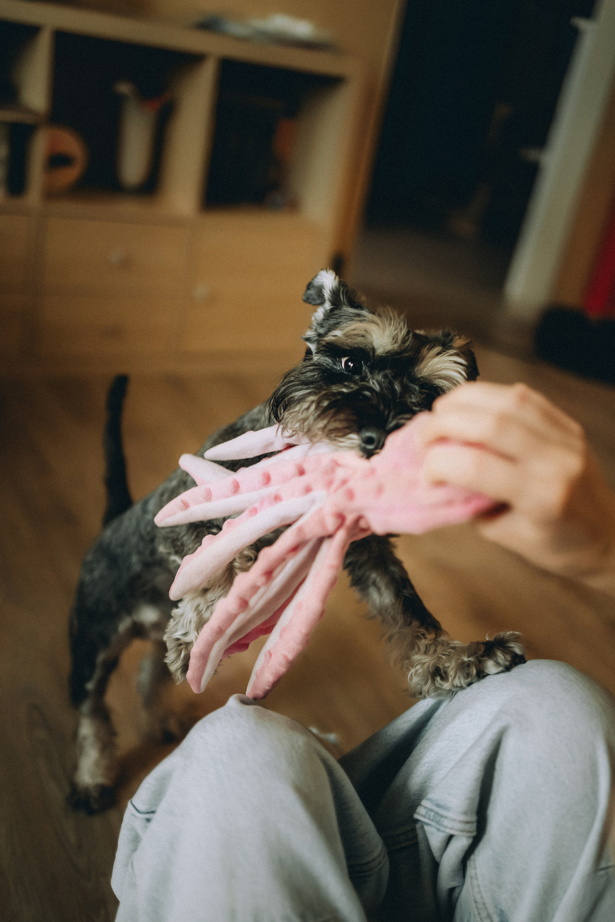 Лена и Зефир