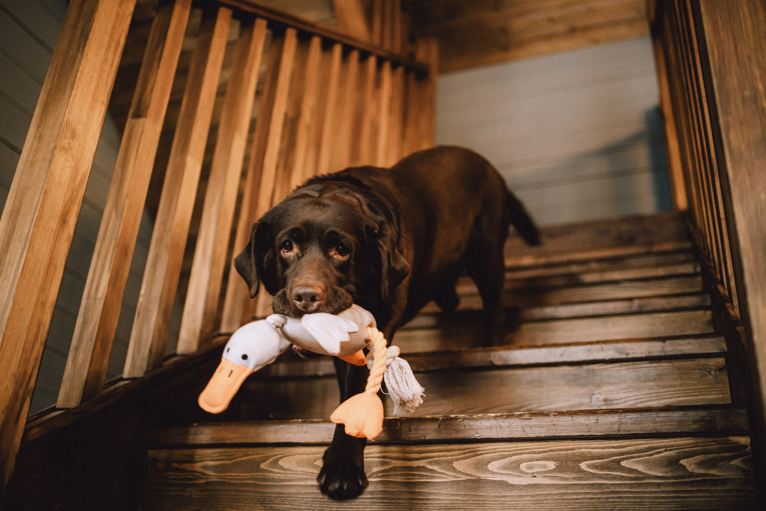 Ума, Берта и их семья