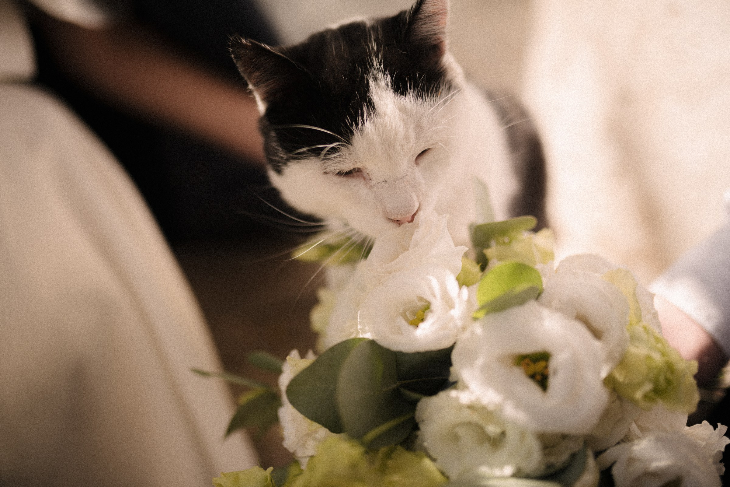 Свадебные. Свадебный и семейный фотограф в Севастополе и Крыму Алина Зорина