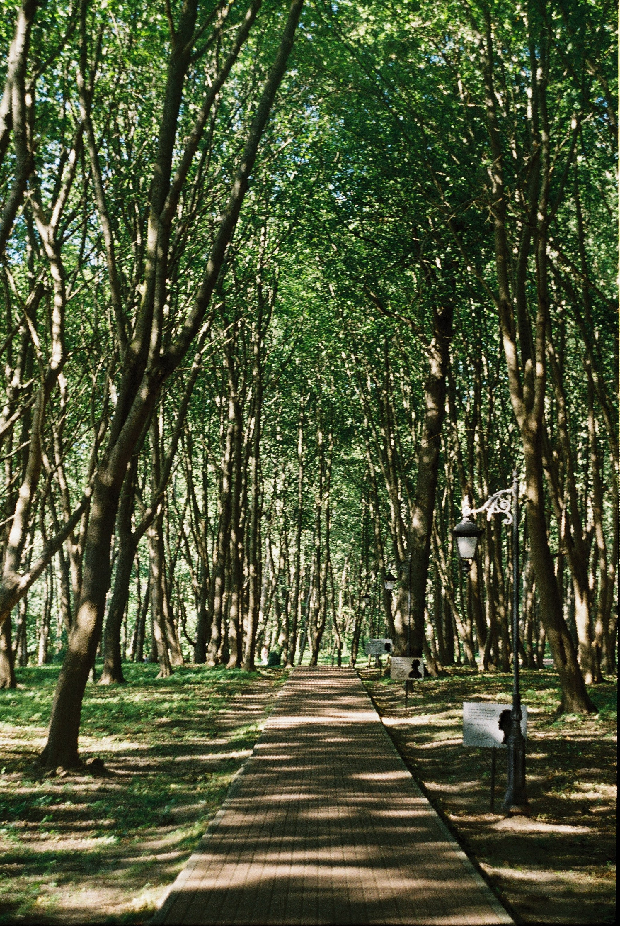 Калининградская область и Санкт-Петербруг | 2024. Портретный фотограф | Олеся Комарова | Екатеринбург