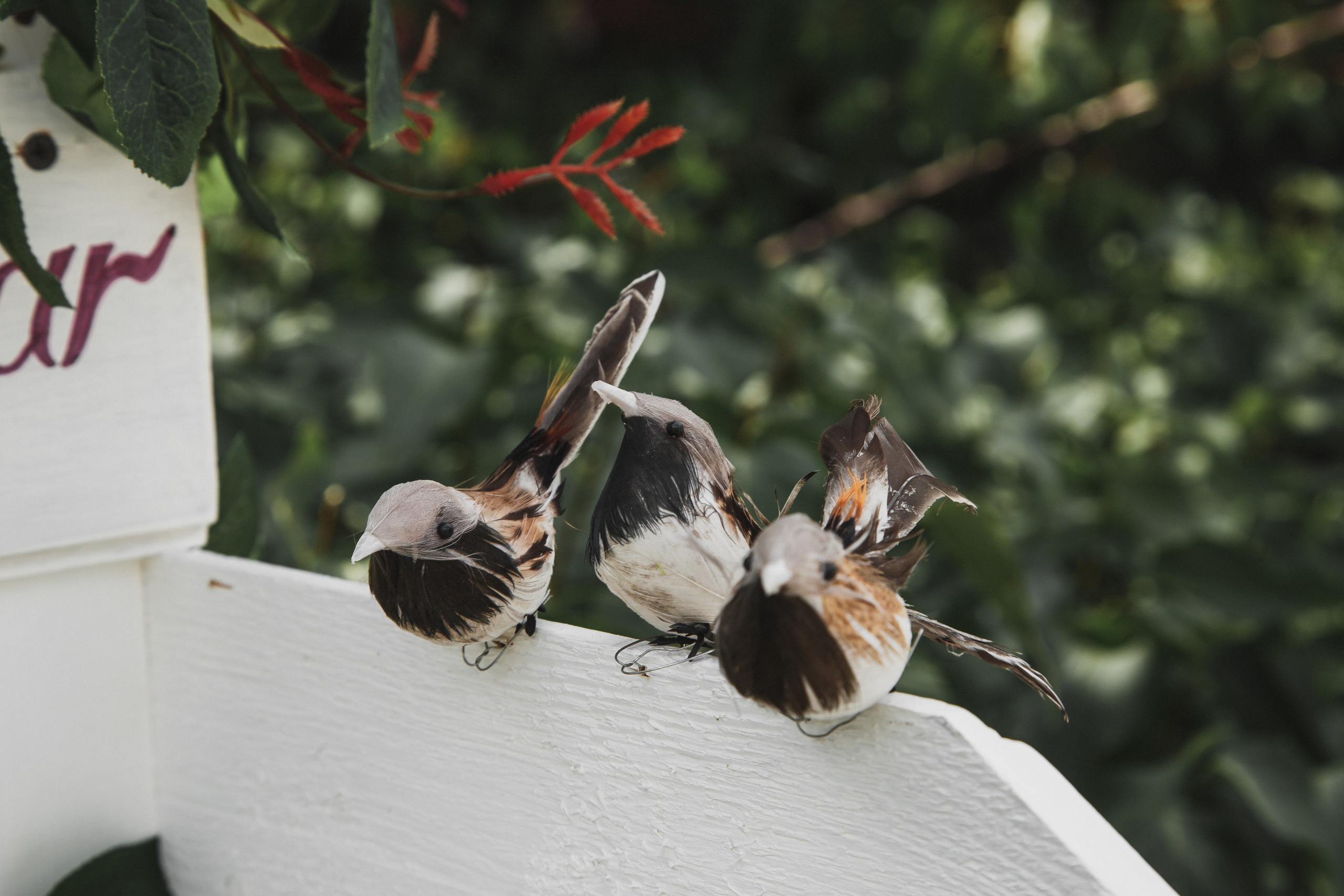 Владимир и Юлия. Свадебный и семейный фотограф в Волгограде