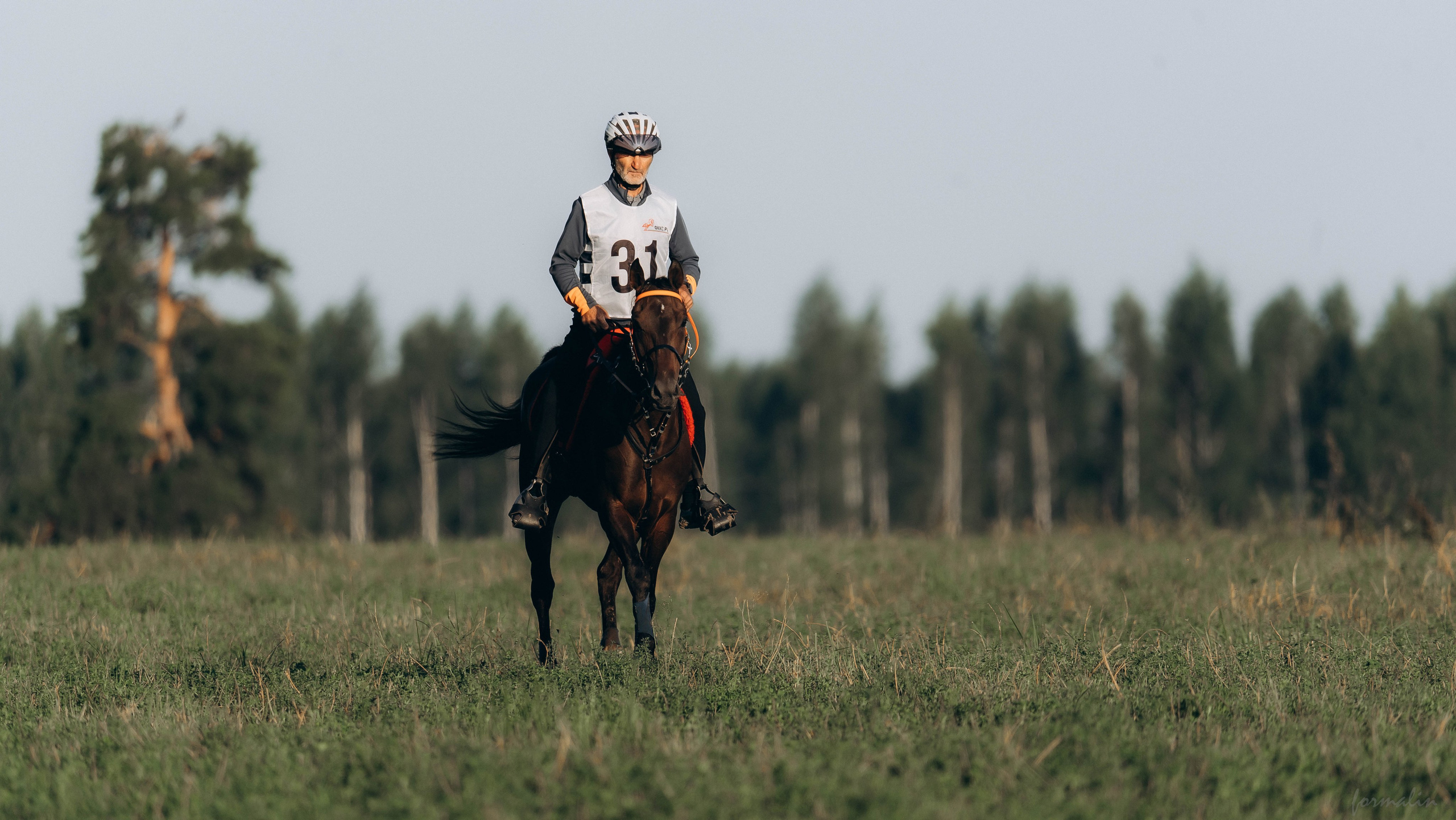 День Коня. Алиса Никитцова | Фотограф в Казани