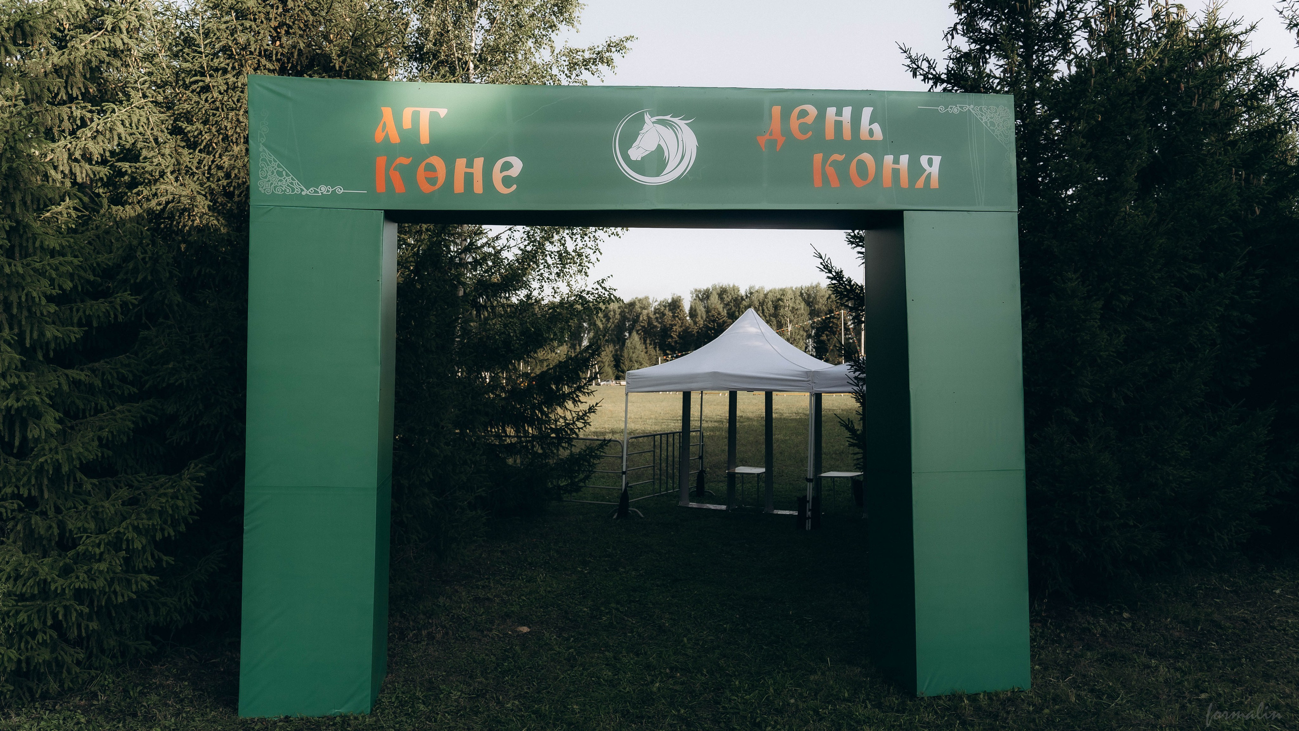 День Коня. Алиса Никитцова | Фотограф в Казани