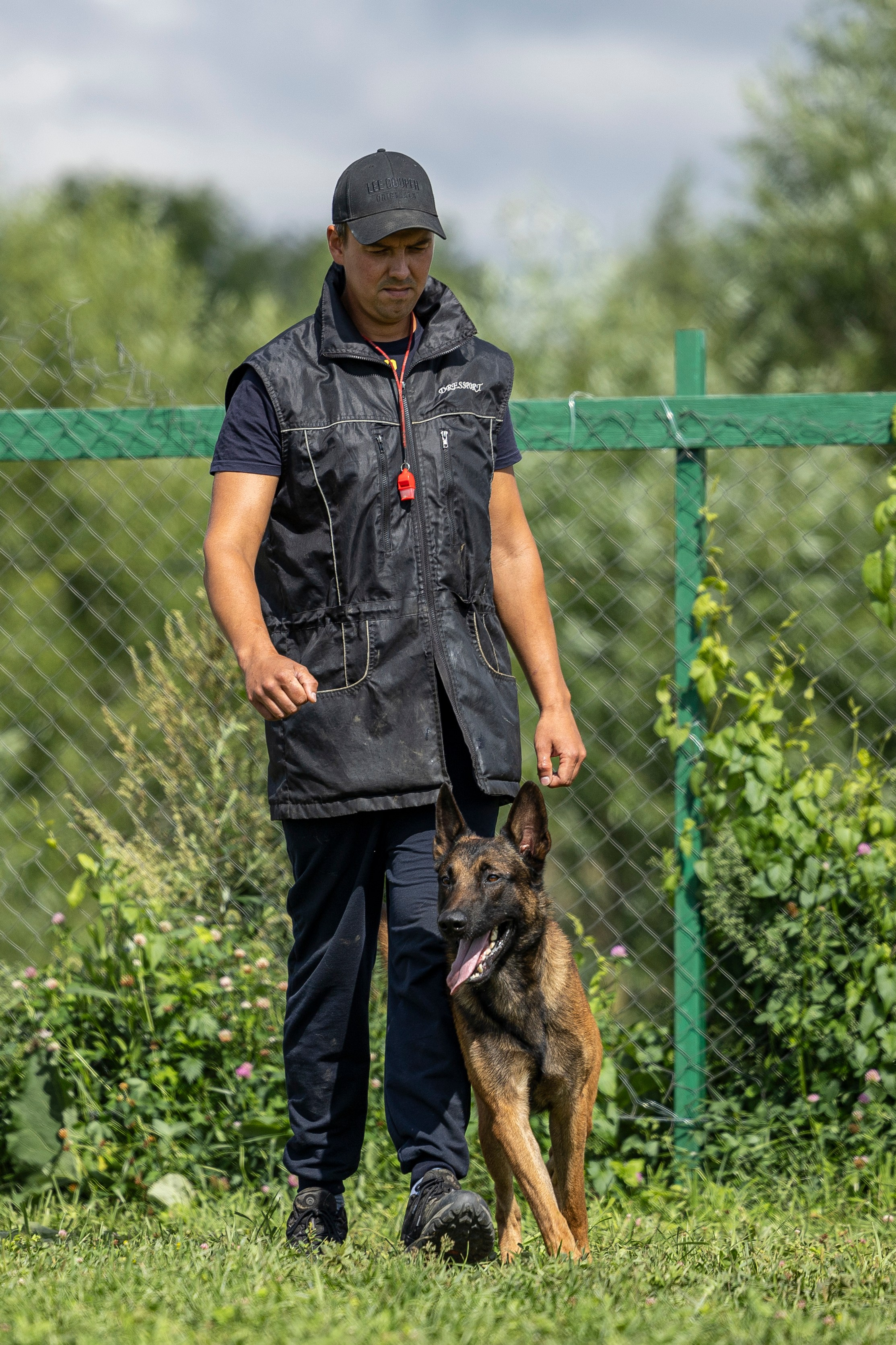 Соревнования по Мондьорингу г. Вологда 10-11.08.2024. Фотограф-анималист Анна Маринич