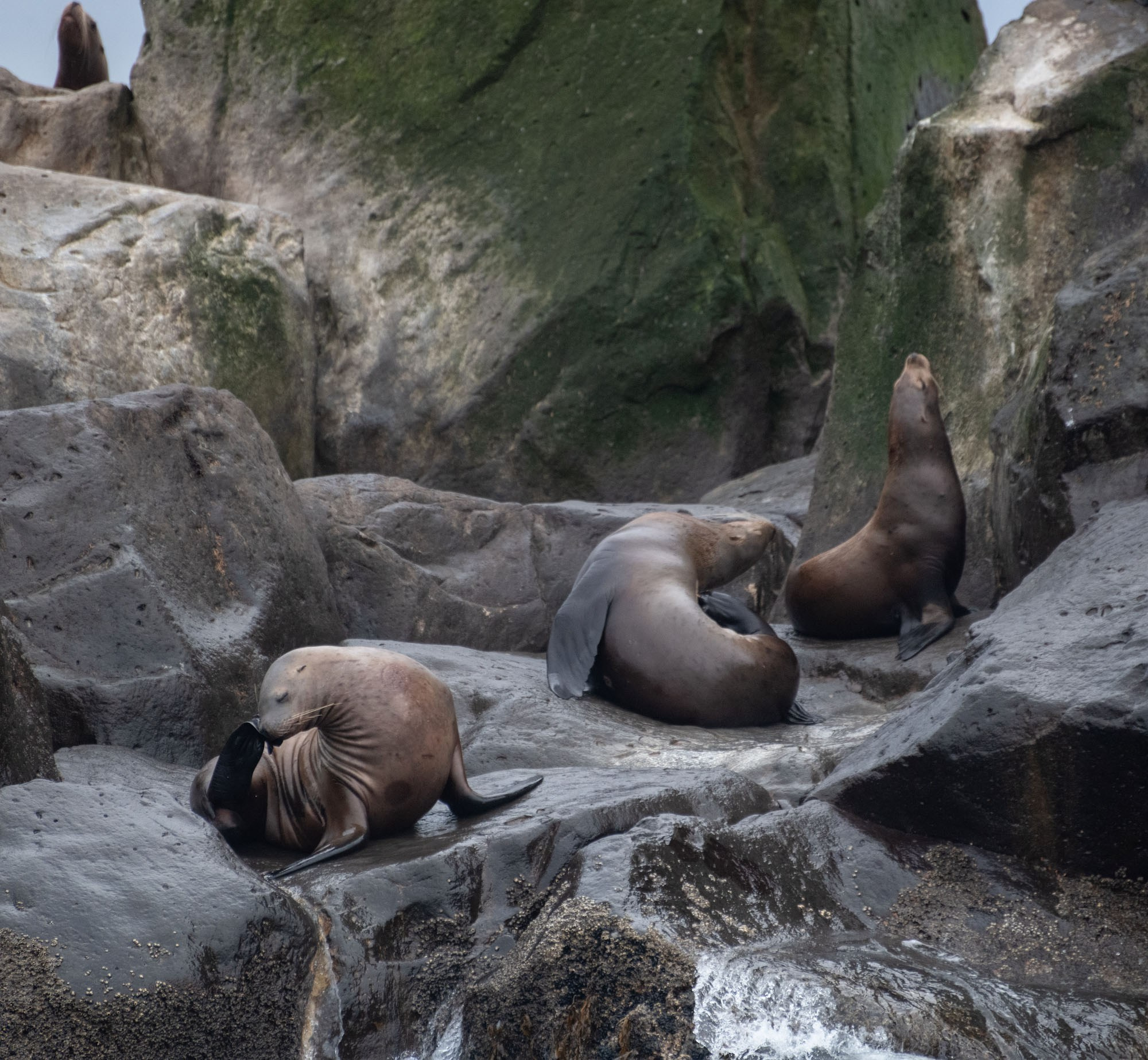 Фототур на северные Курилы 2026