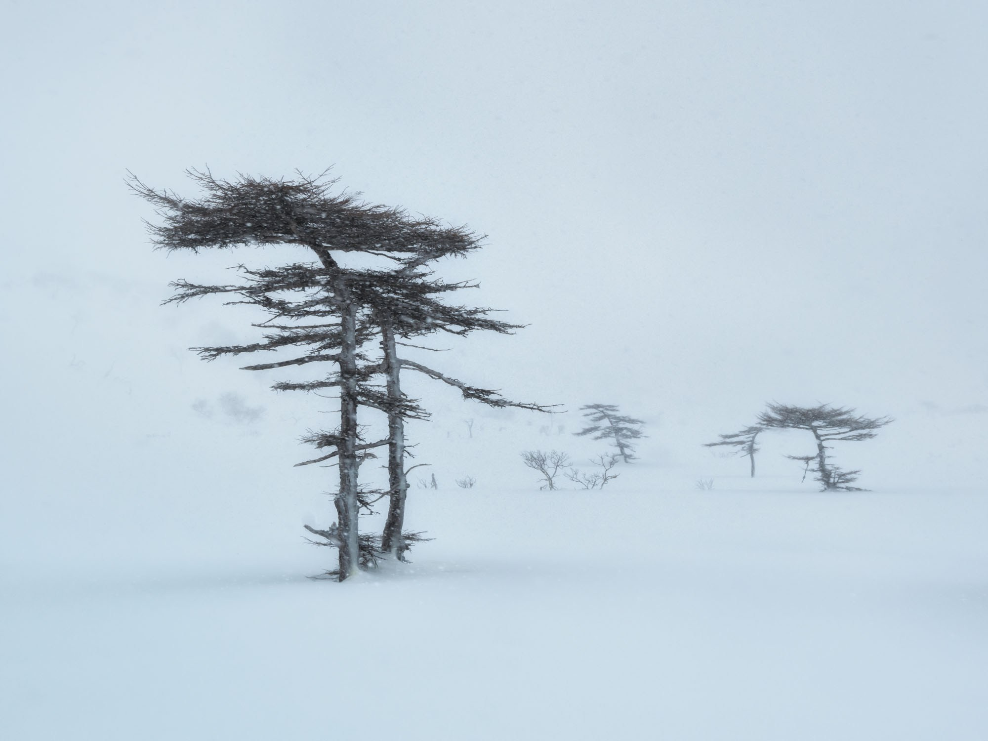 Фотогалерея Зимние Курилы