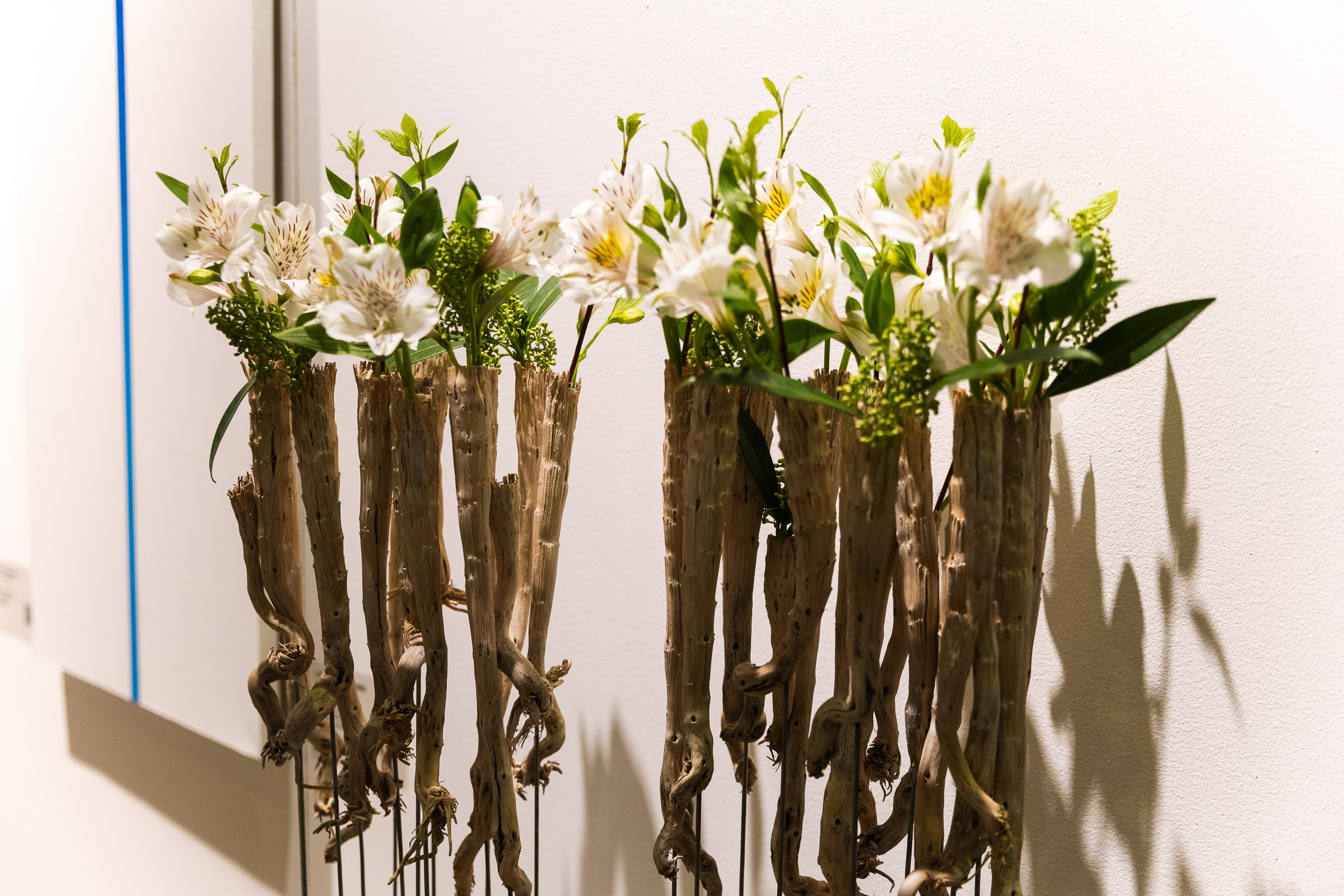 АРТ РОССИЯ 2026. Фотограф в Москве