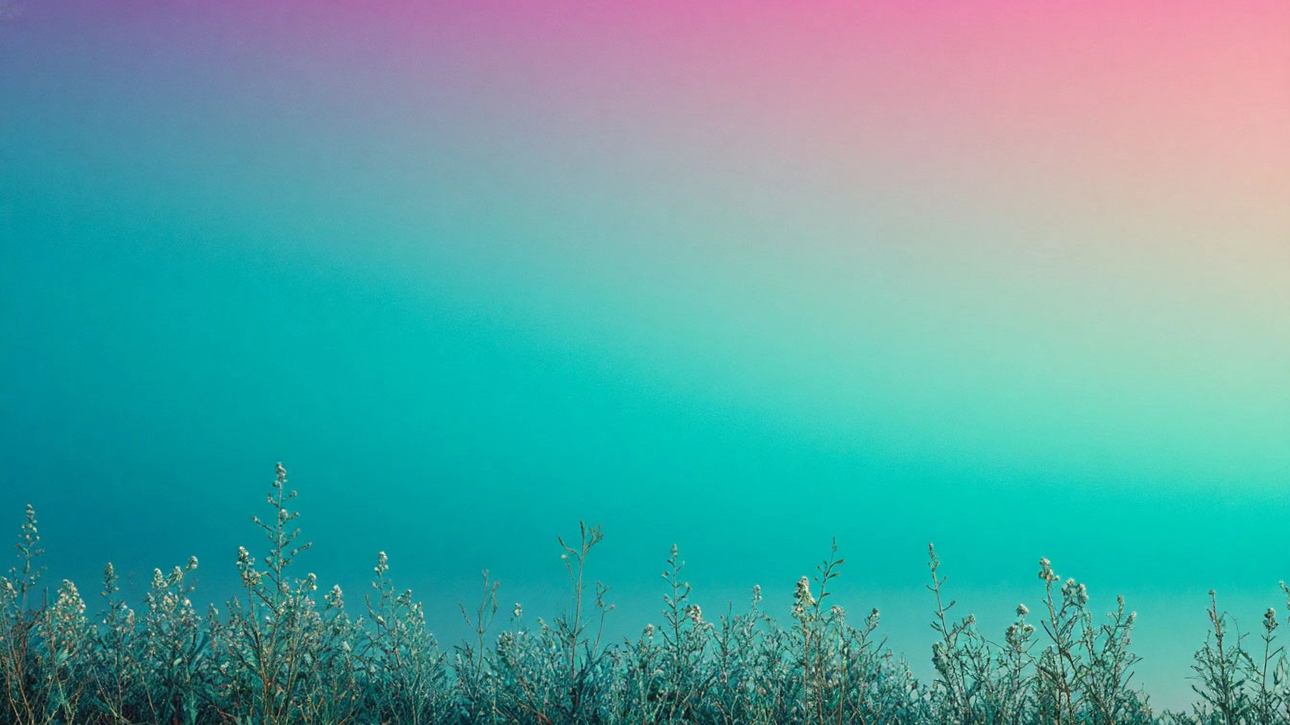 Статьи, мысли, размышления на тему моды, стиля, красоты, дизайна и шитья всего этого великолепия. Школа для девочек во Владивостоке — Само Совершенство