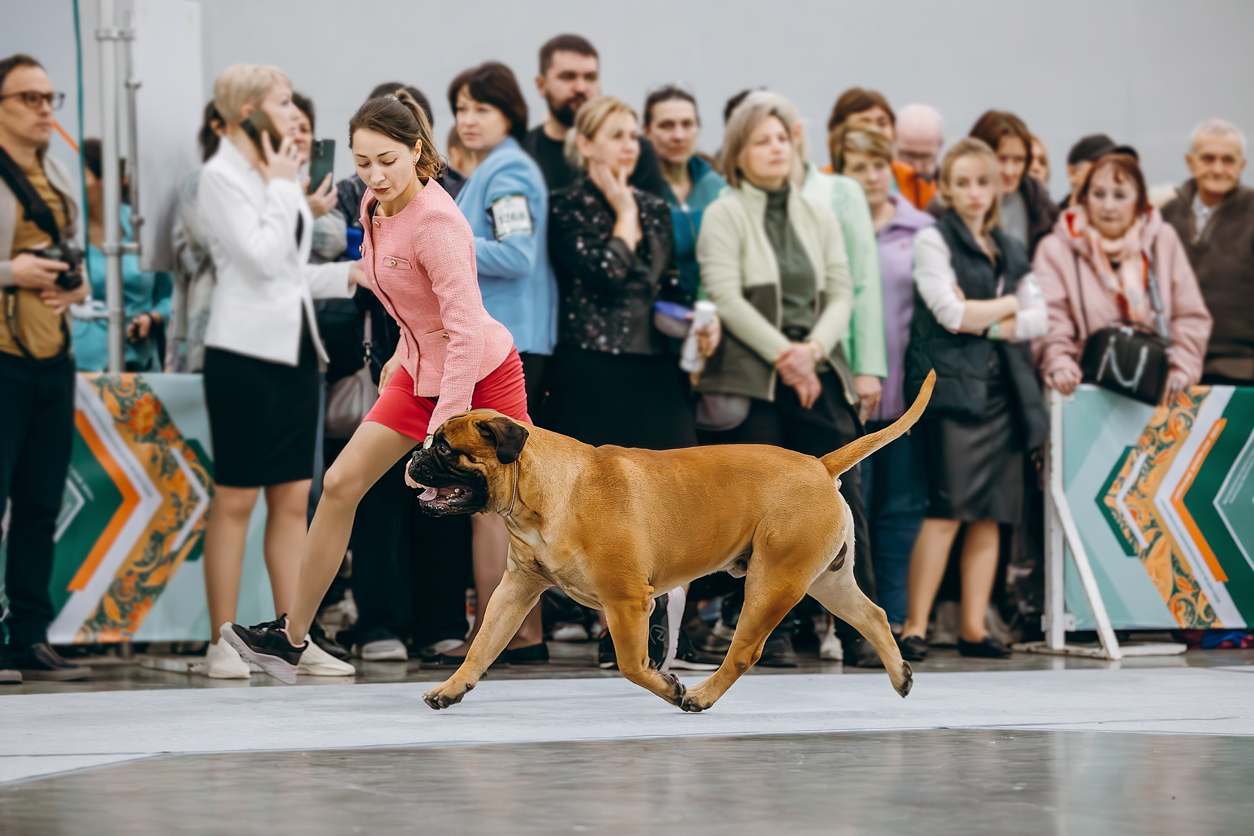 Выставочный репортаж. Фотограф. Фотограф-анималист. Москва