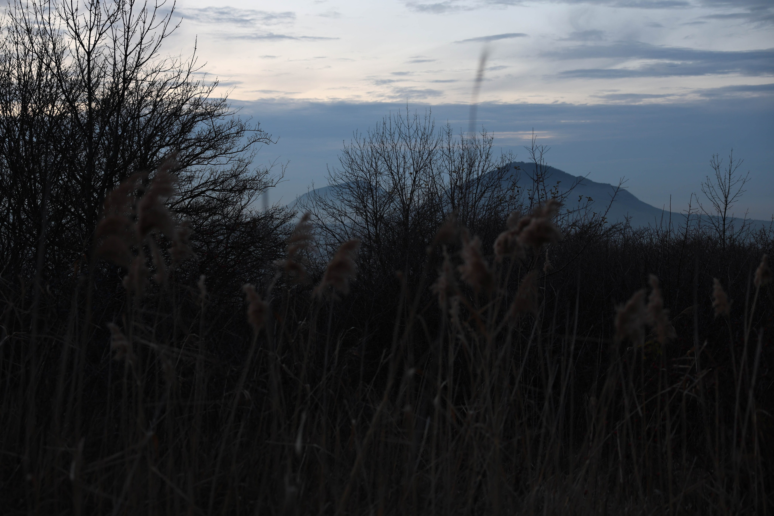 Фотограф Мария Алексеева. Мария Алексеева. Фотограф в Москве
