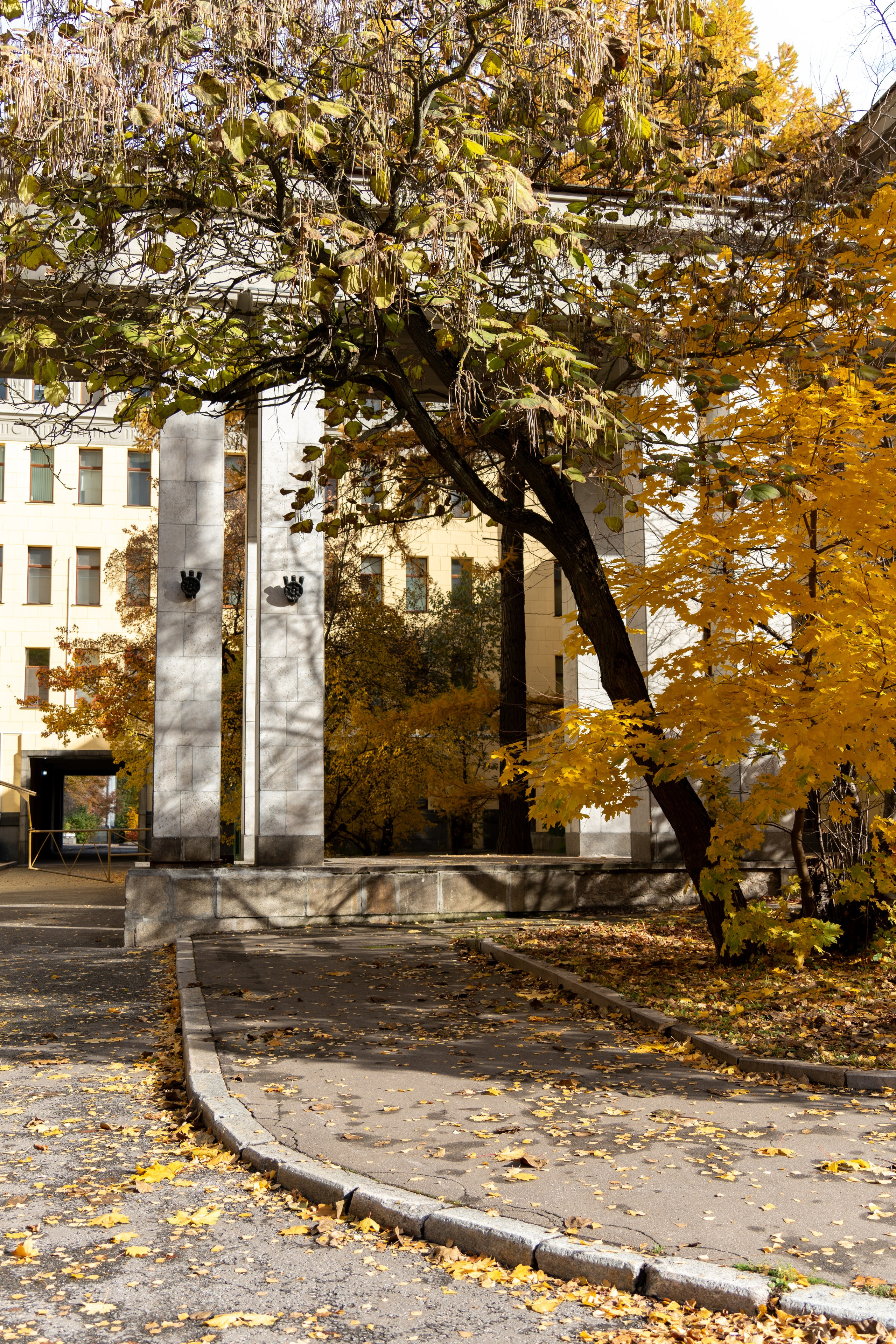 20251012 МГУ. Дмитрий Ремизов. Фотография, как хобби