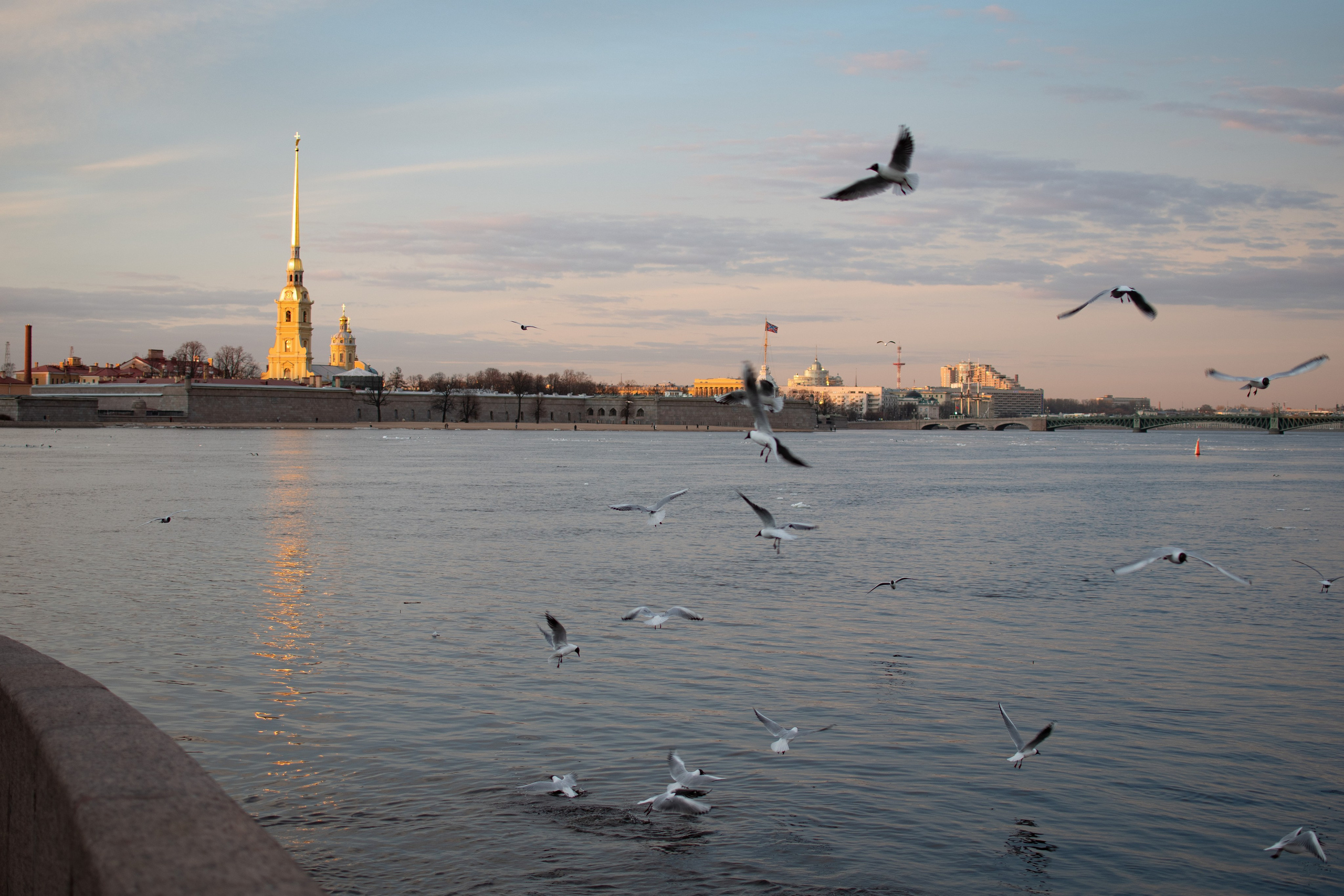 20220411-16 Санкт-Петербург. Дмитрий Ремизов. Фотография, как хобби
