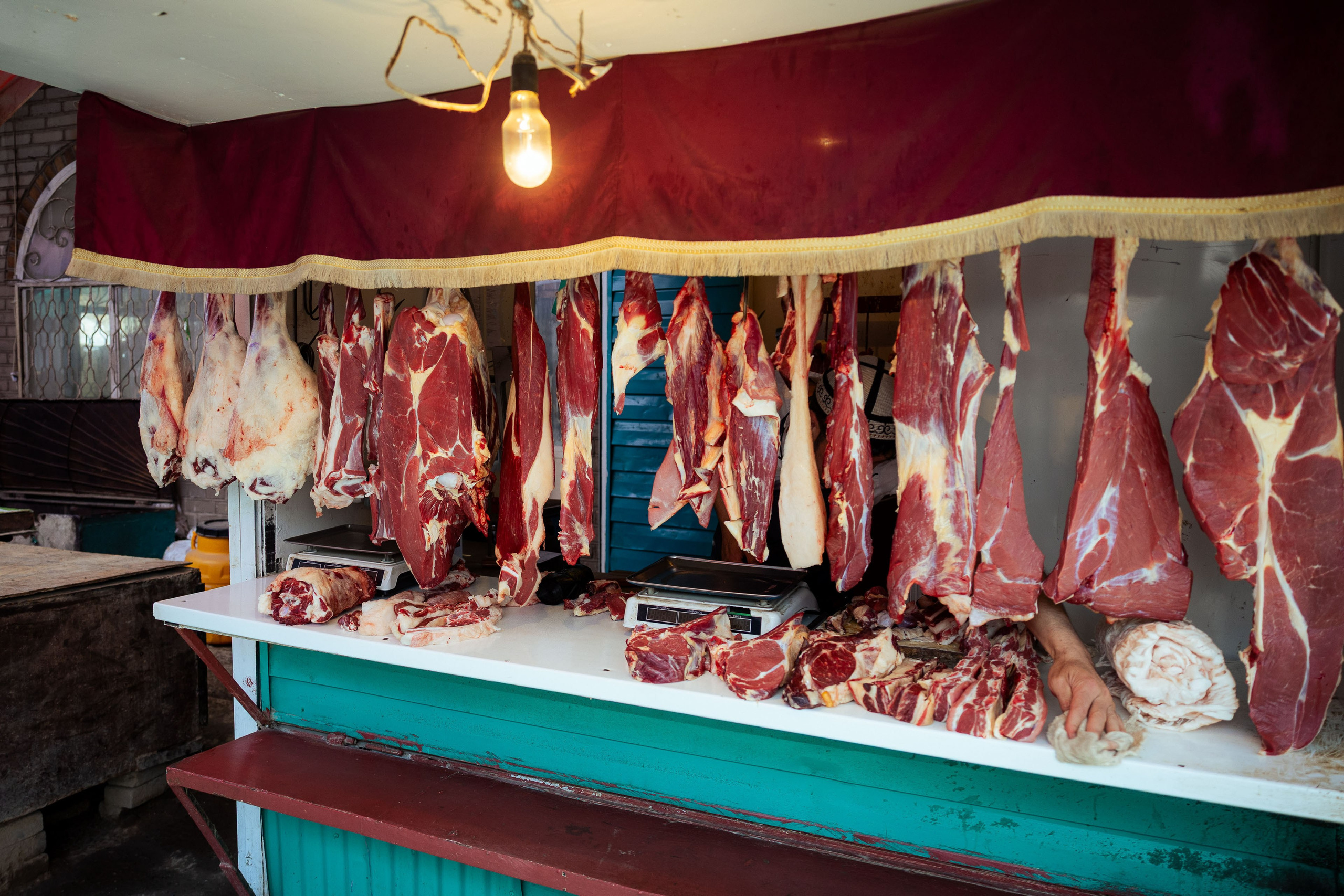 Кыргызстан (весна 2025). Фотограф Виноградов Константин