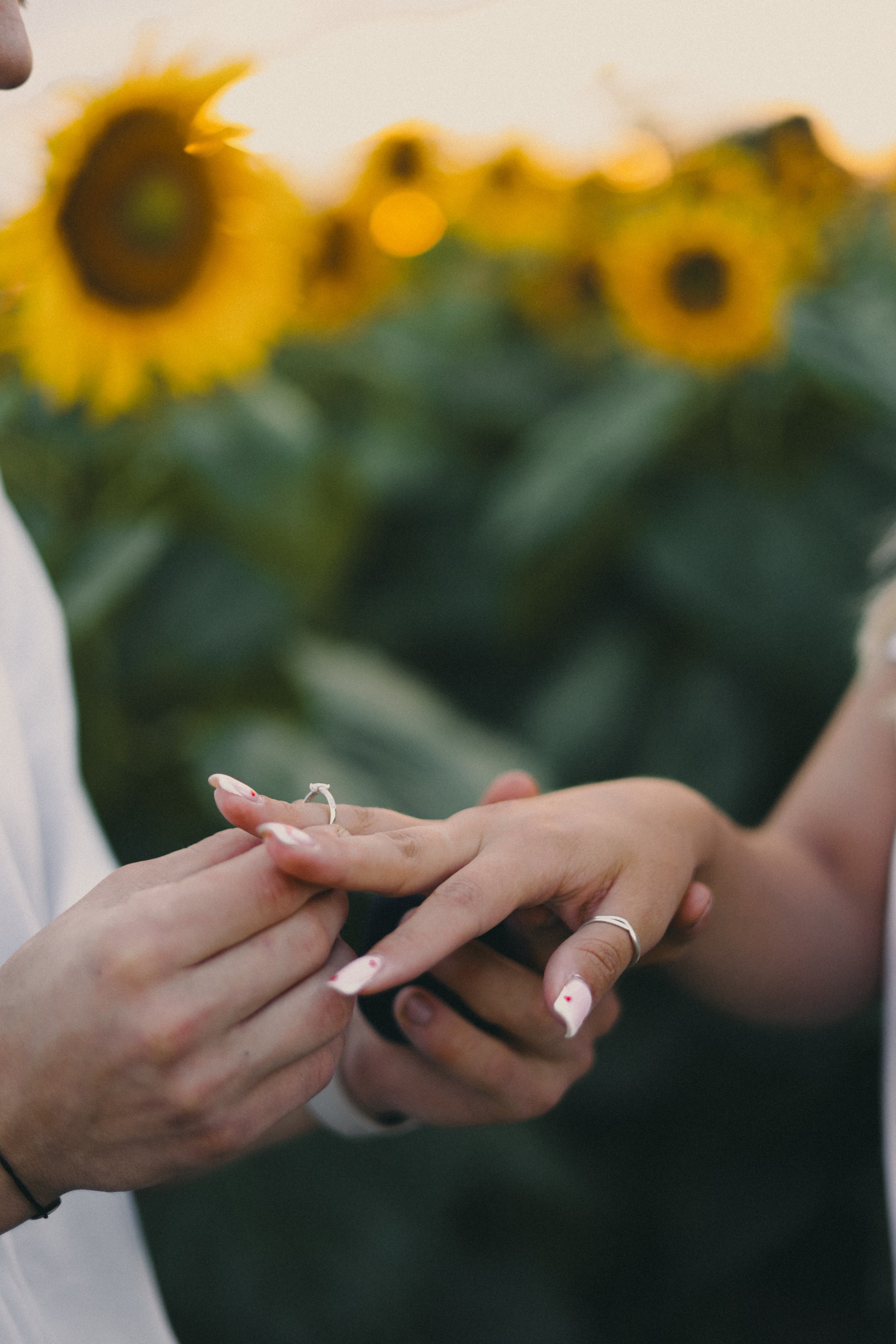 Михаил и Валерия | Подсолнухи. Фотограф Мария Лаенко