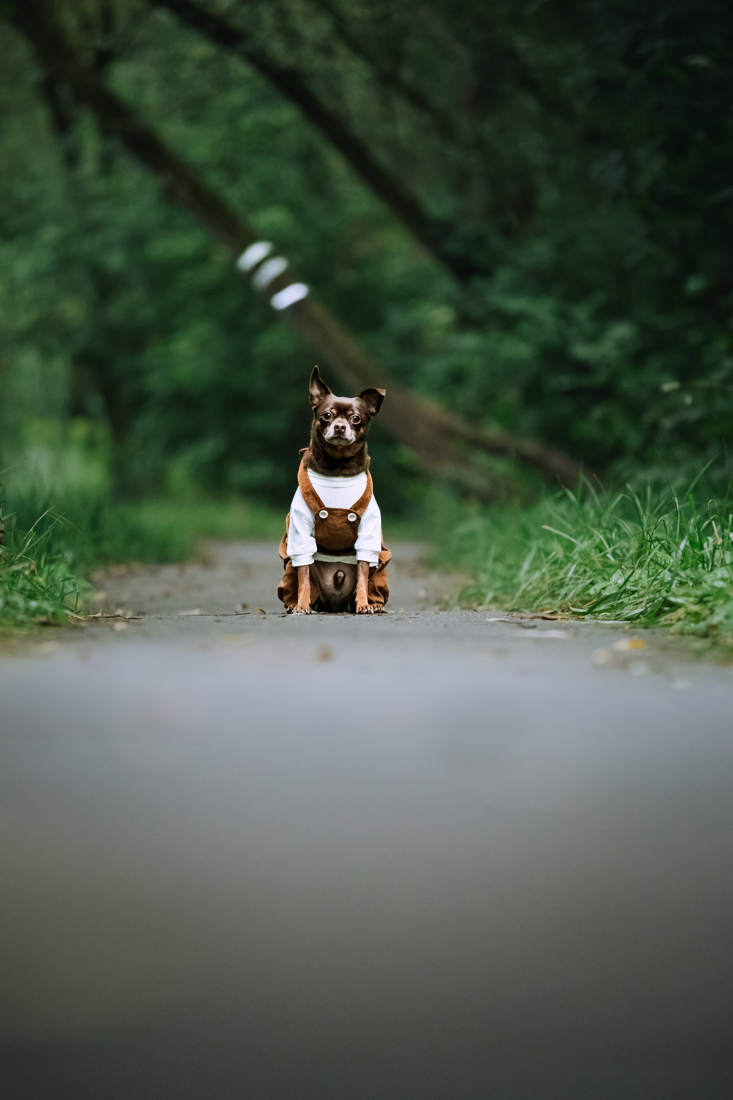 Юля и Леонид. Фотограф-анималист Татьяна Степанова