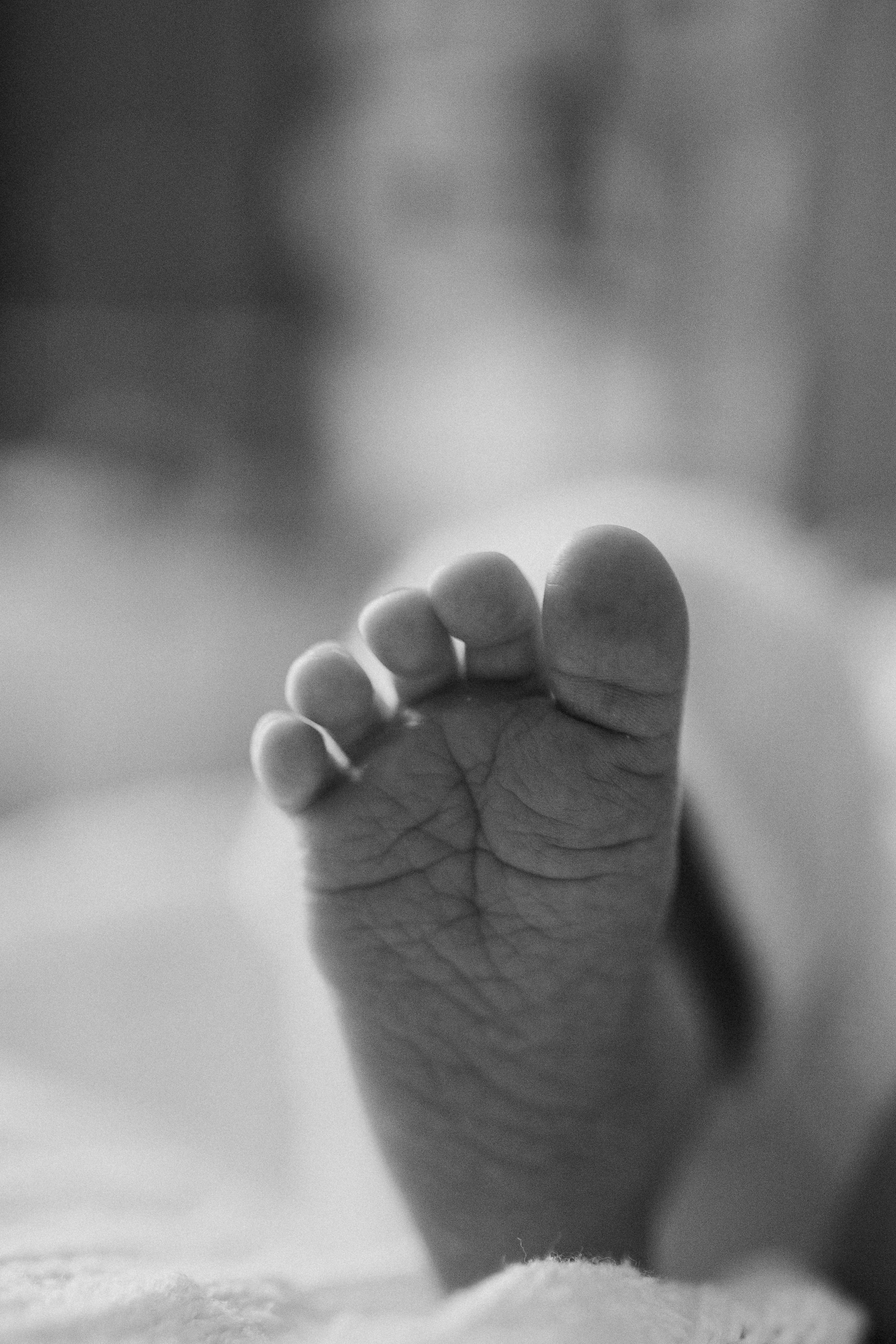 Лена, Игорь, Арина, Агата. Семейный фотограф Москва