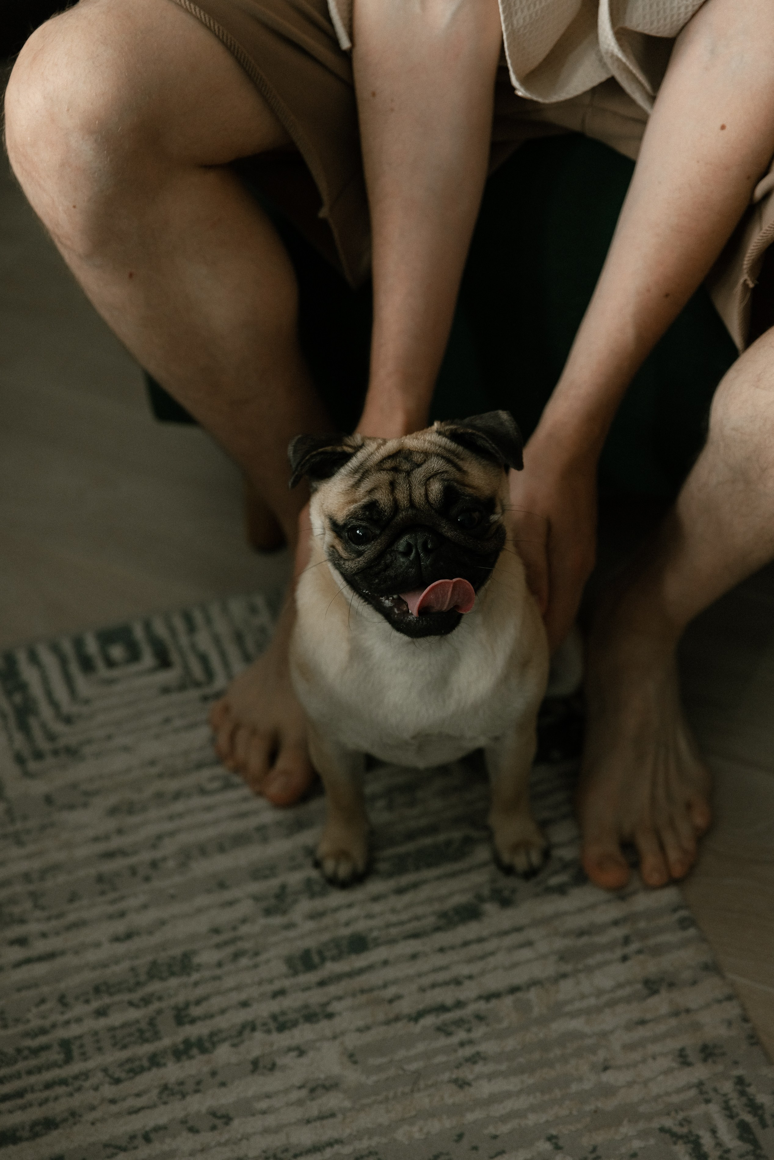 Мы и Федя. Свадебный фотограф Ярославль, Рыбинск