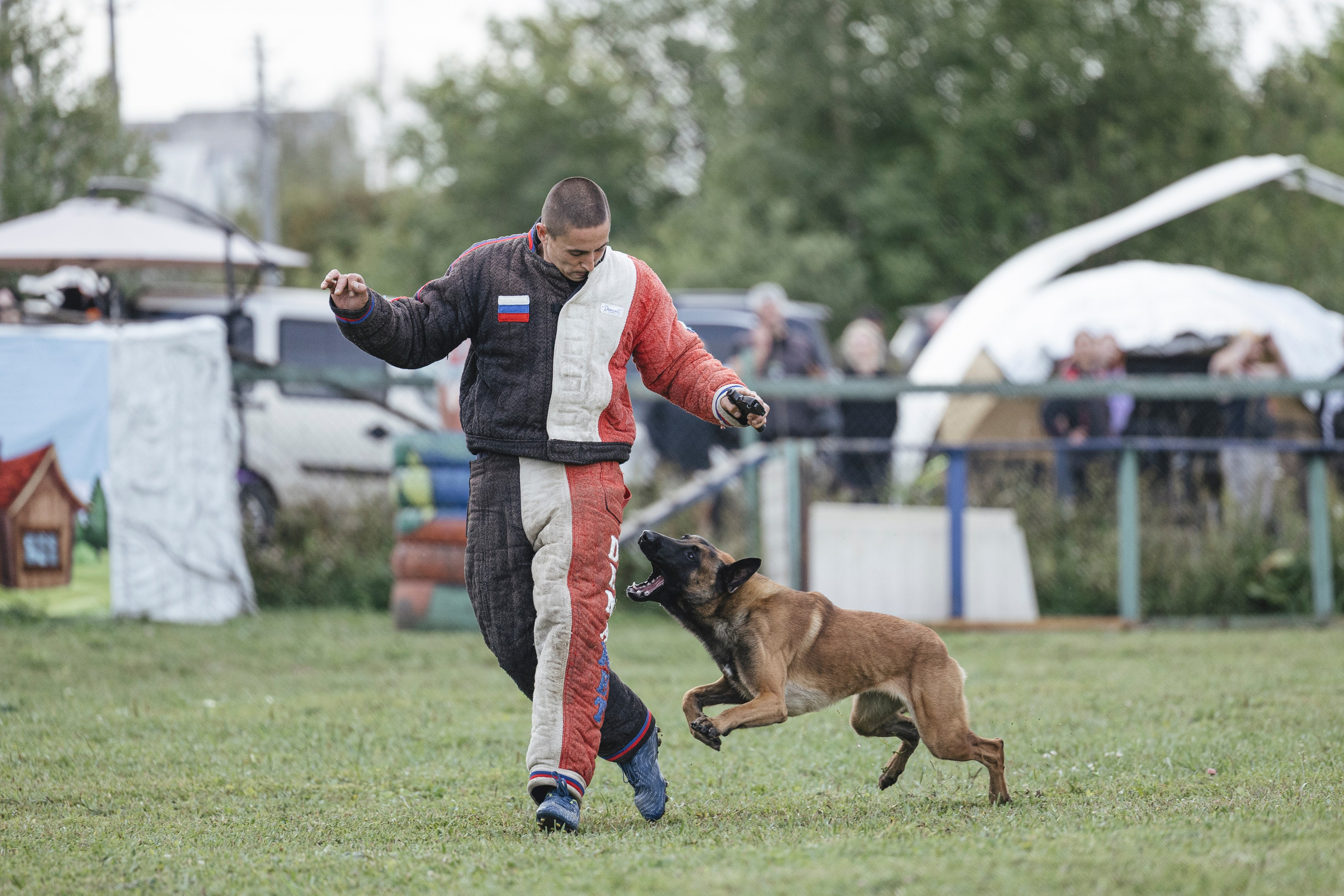 08.08.25-10.08.25 ЧР по мондьорингу г. Вологда. Фотограф-анималист Анна Маринич
