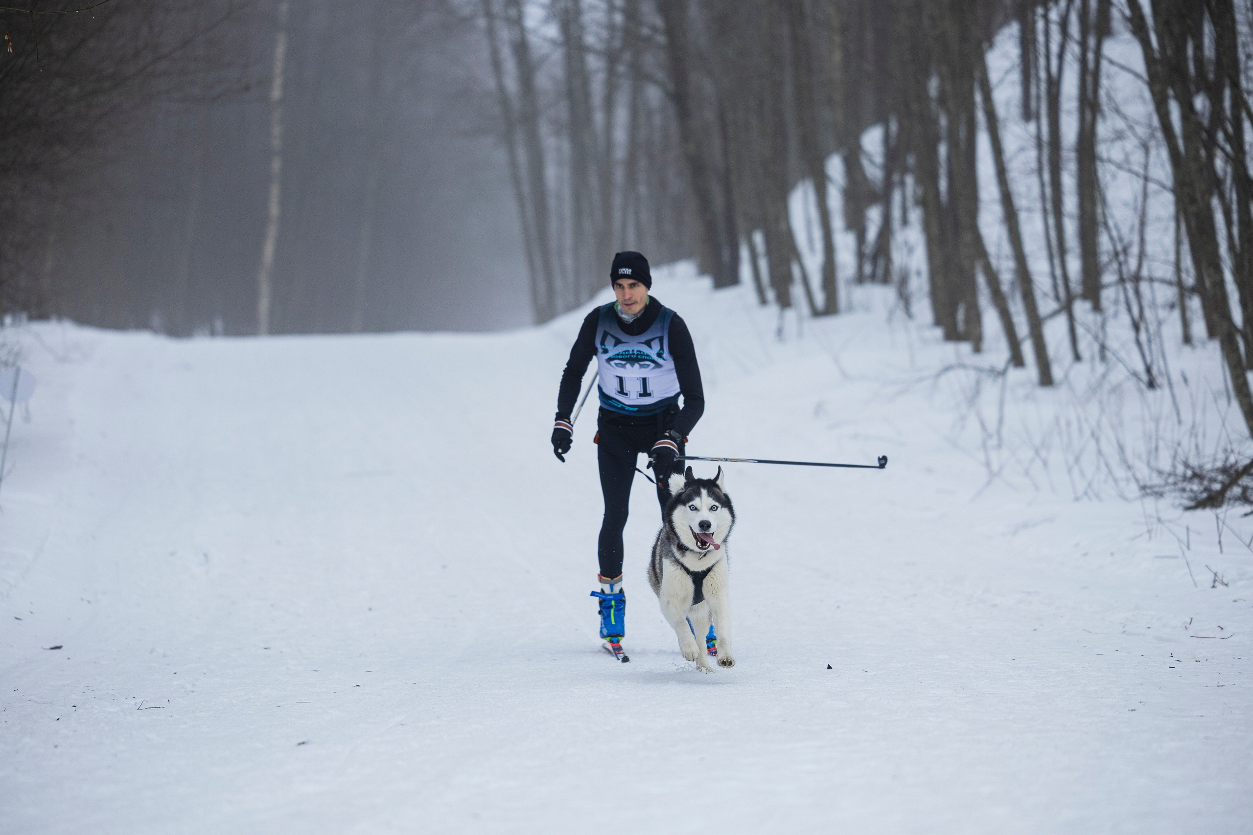 Зимний Чемпионат Санкт-Петербурга по ездовому спорту. Фотограф-анималист Анна Маринич