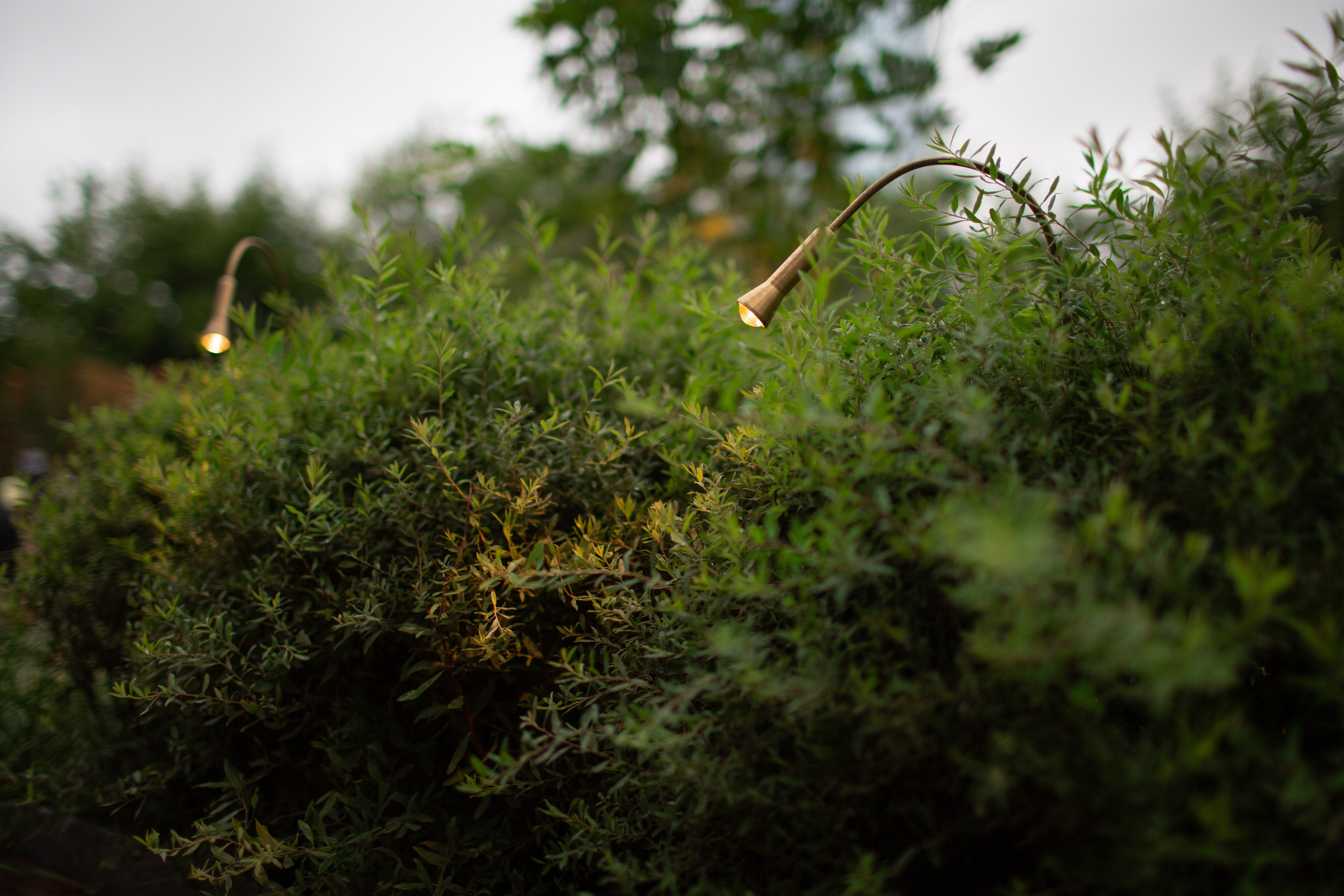 Декоративный ландшафтный свет TEMPARIUM. Фотограф Наталья Молчанова