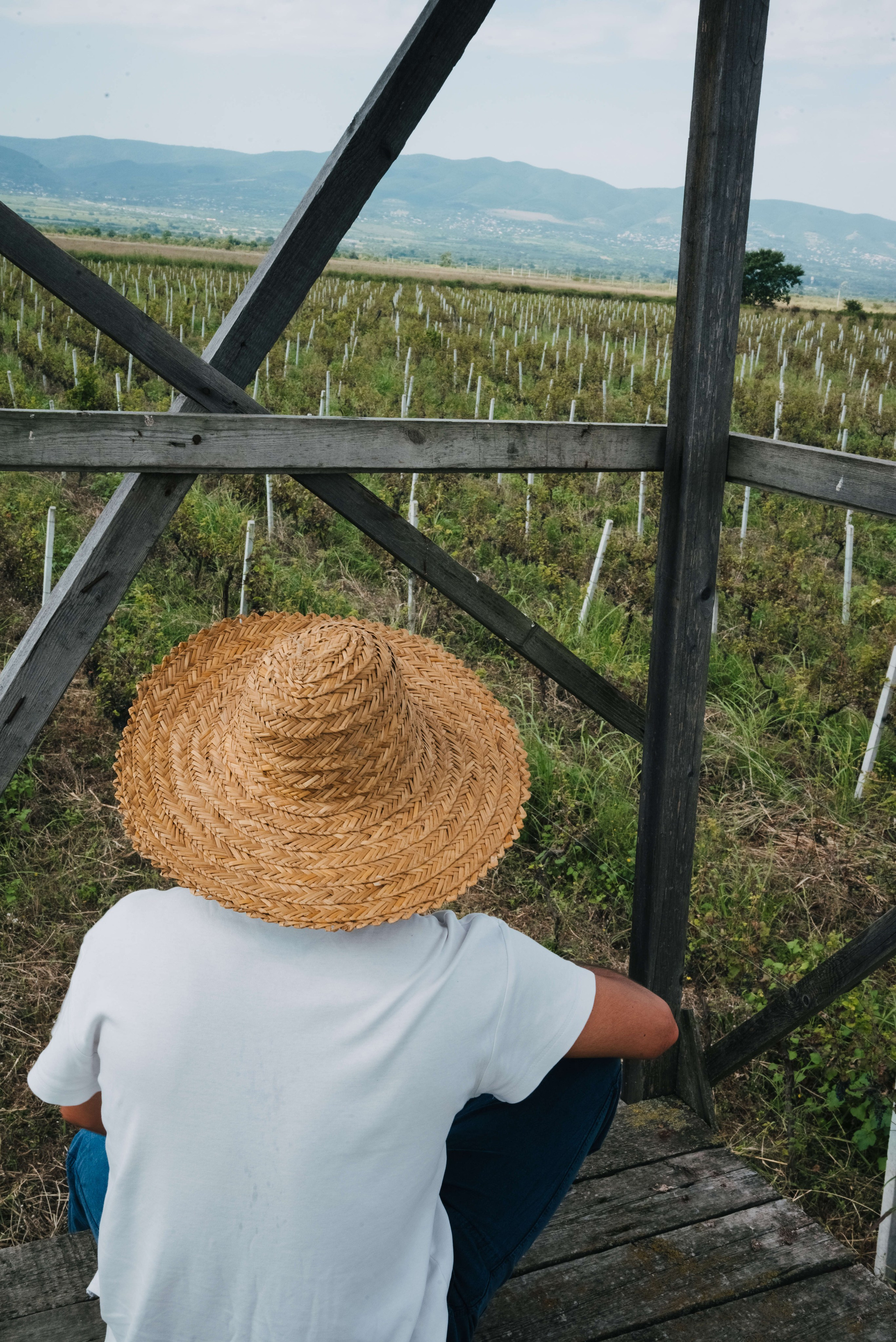 Съемка для винодельни Bakurtsokheli. Портретный и свадебный фотограф в Тбилиси • xeniqo