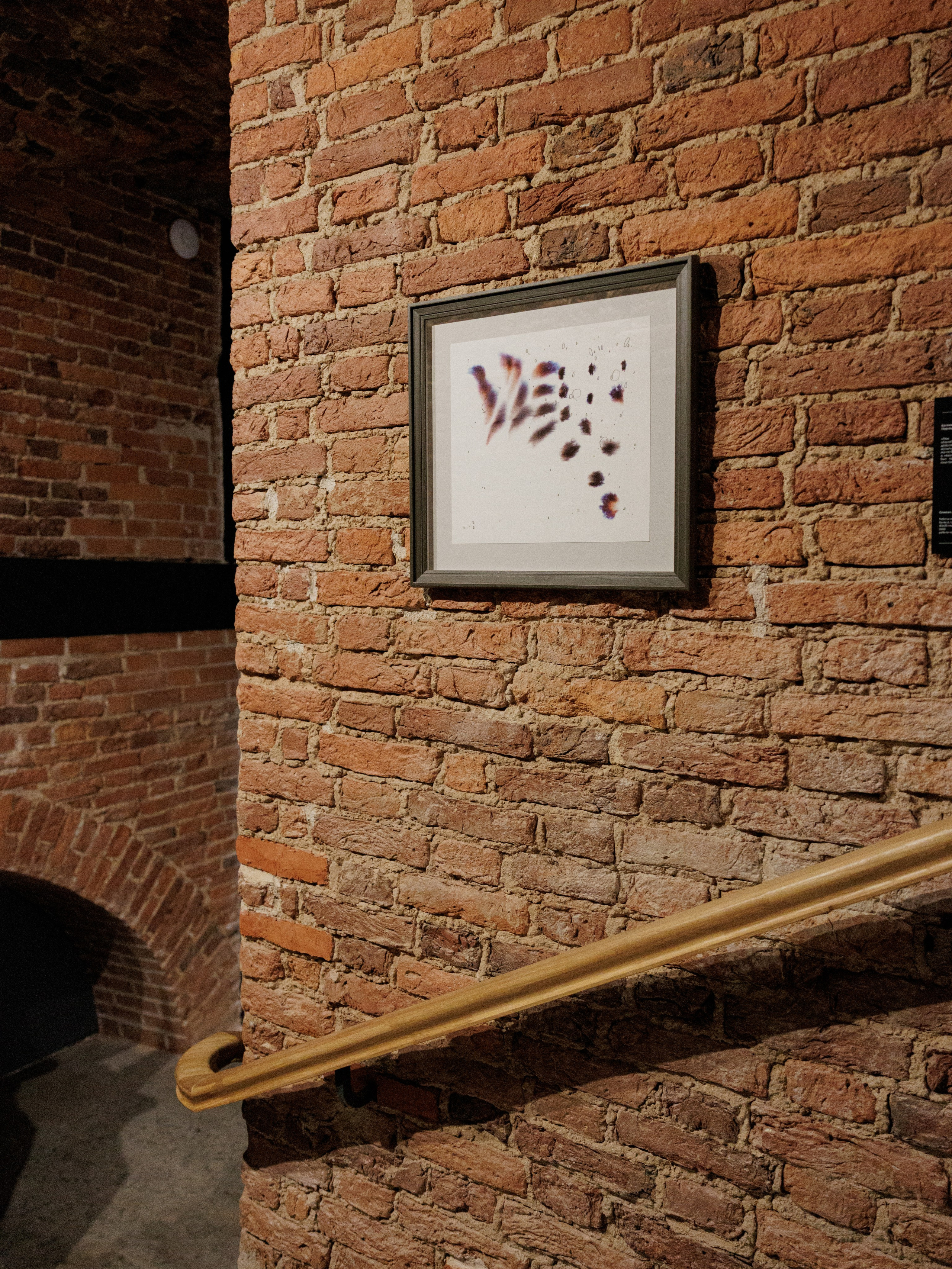 STAY HIDEOUT. Anna Zavediy