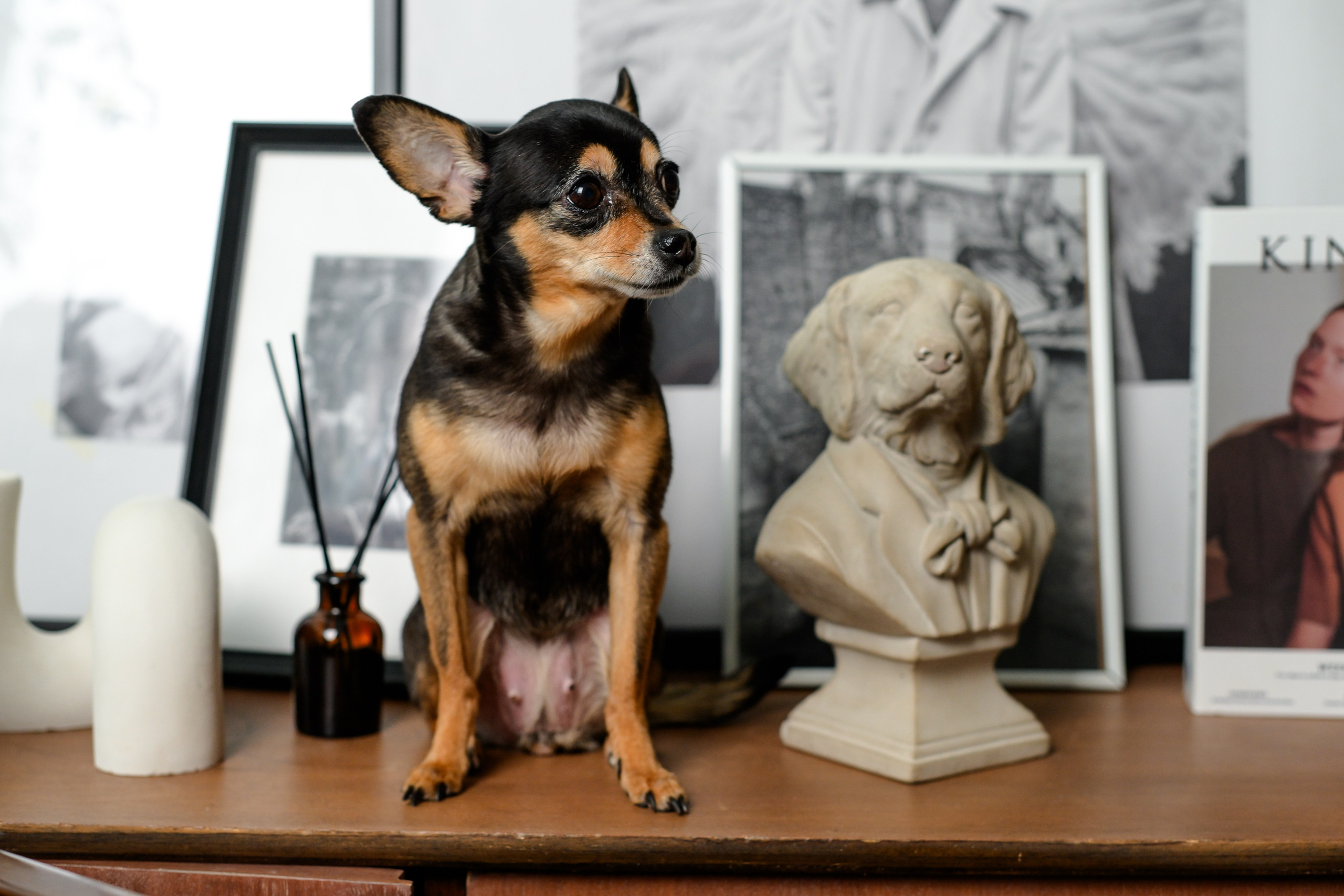 Катюша и Елена