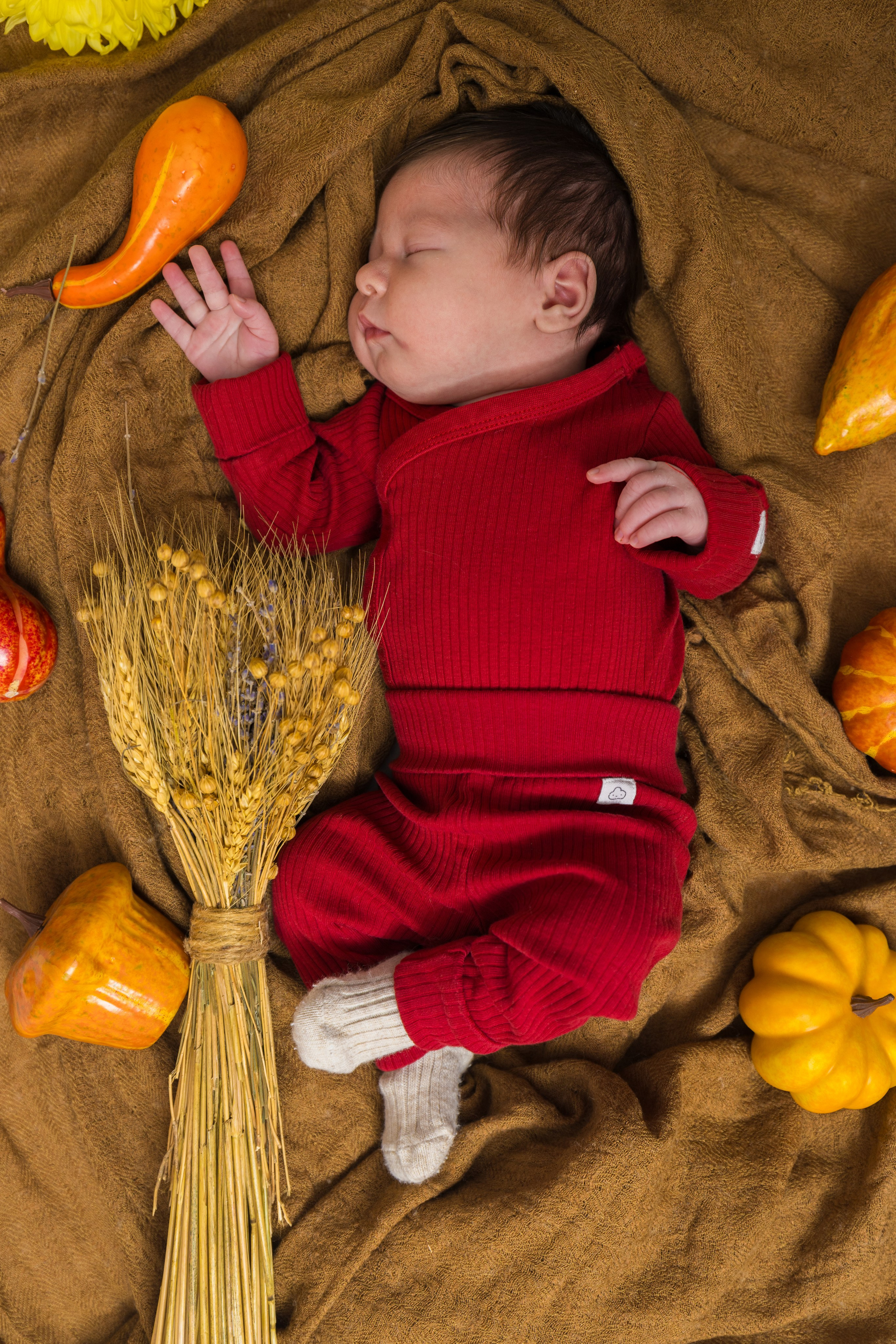 Newborn. Photomantis