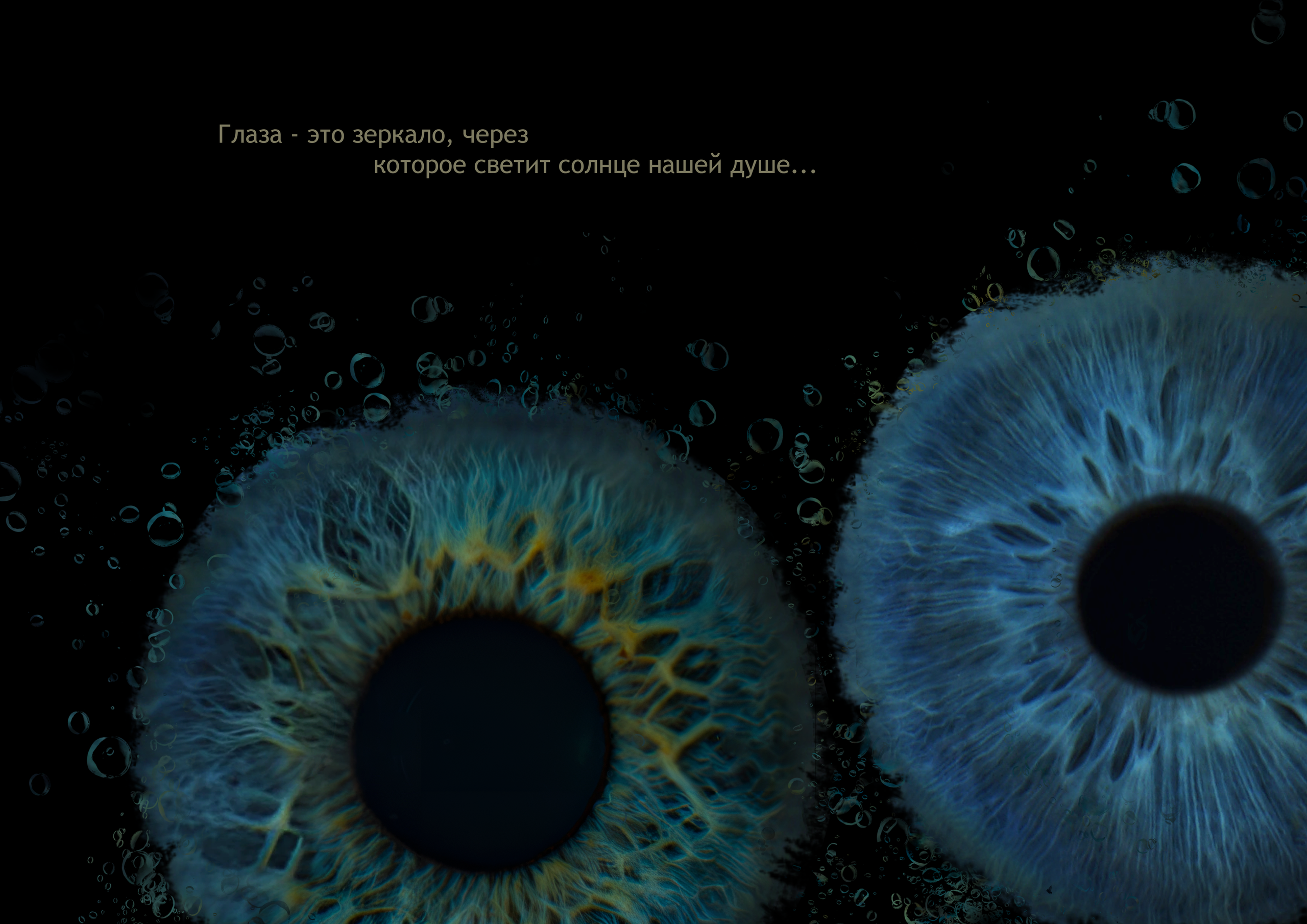 Виолетта 11021600. ShowLab