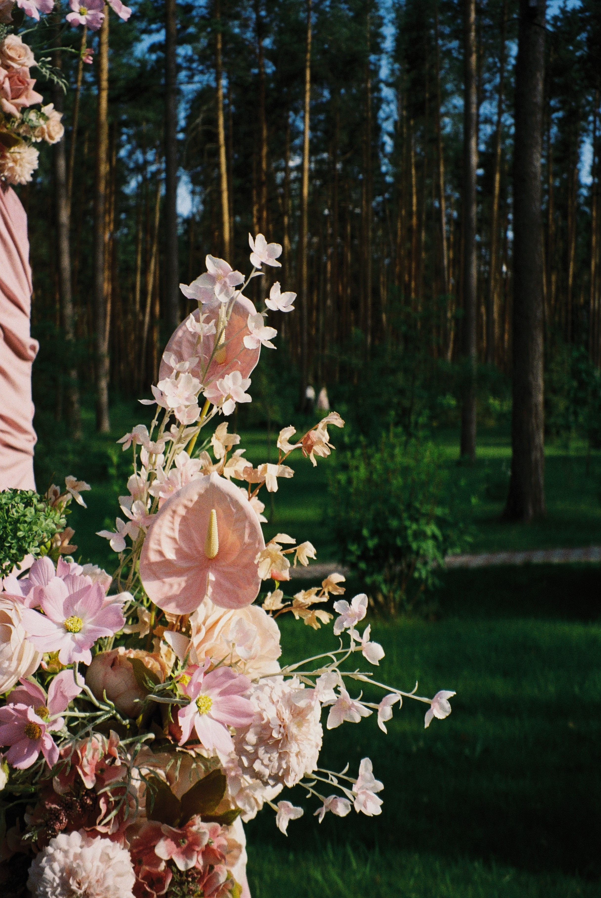 Пленочная фотография. ТАТИ | Татьяна Тихонова | фотограф | Тольятти Самара