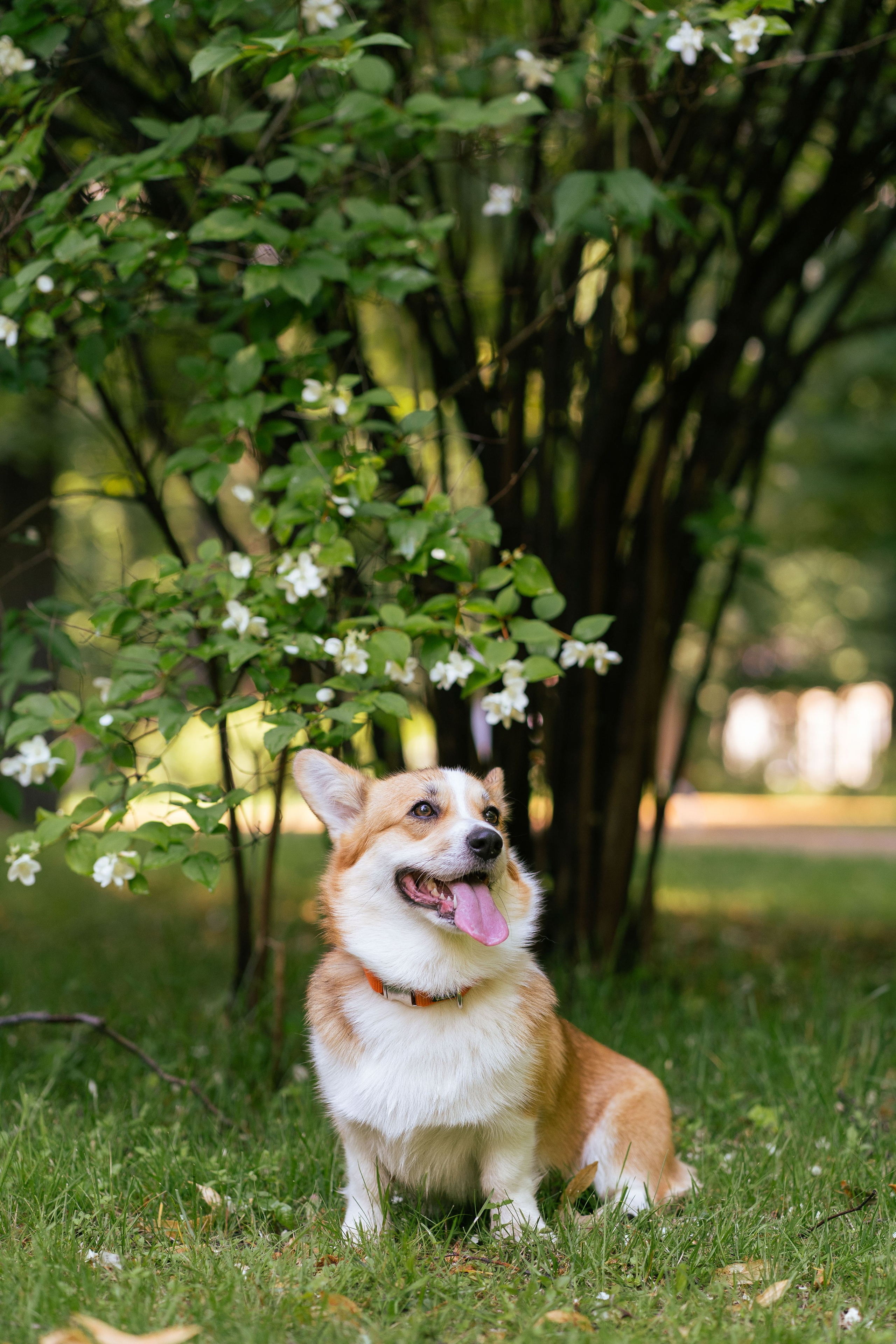 Ольга и коржики. Свадебный фотограф в Москве Анна Полушина