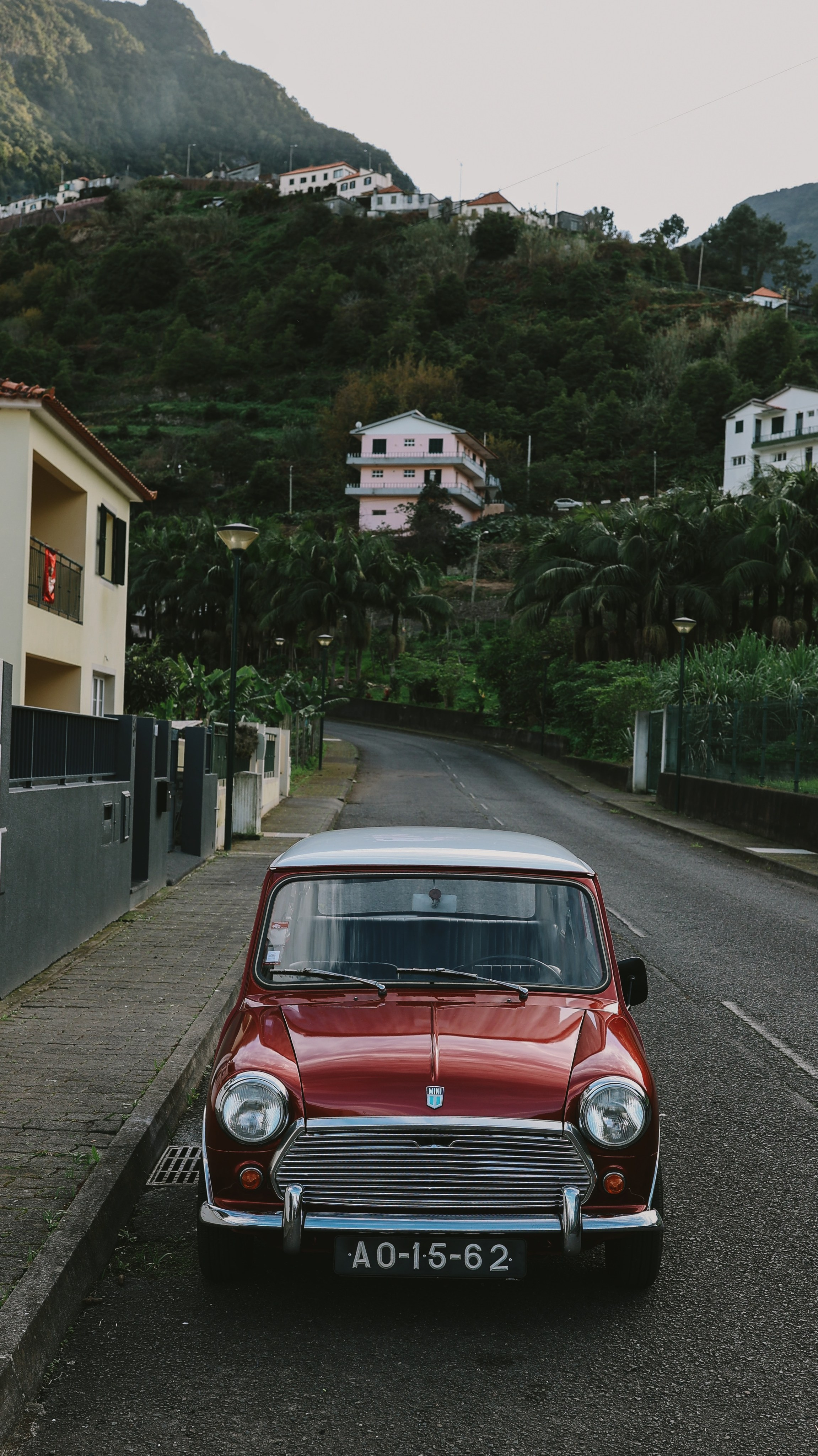 Madeira Island. Ekaterina Buneeva Photography