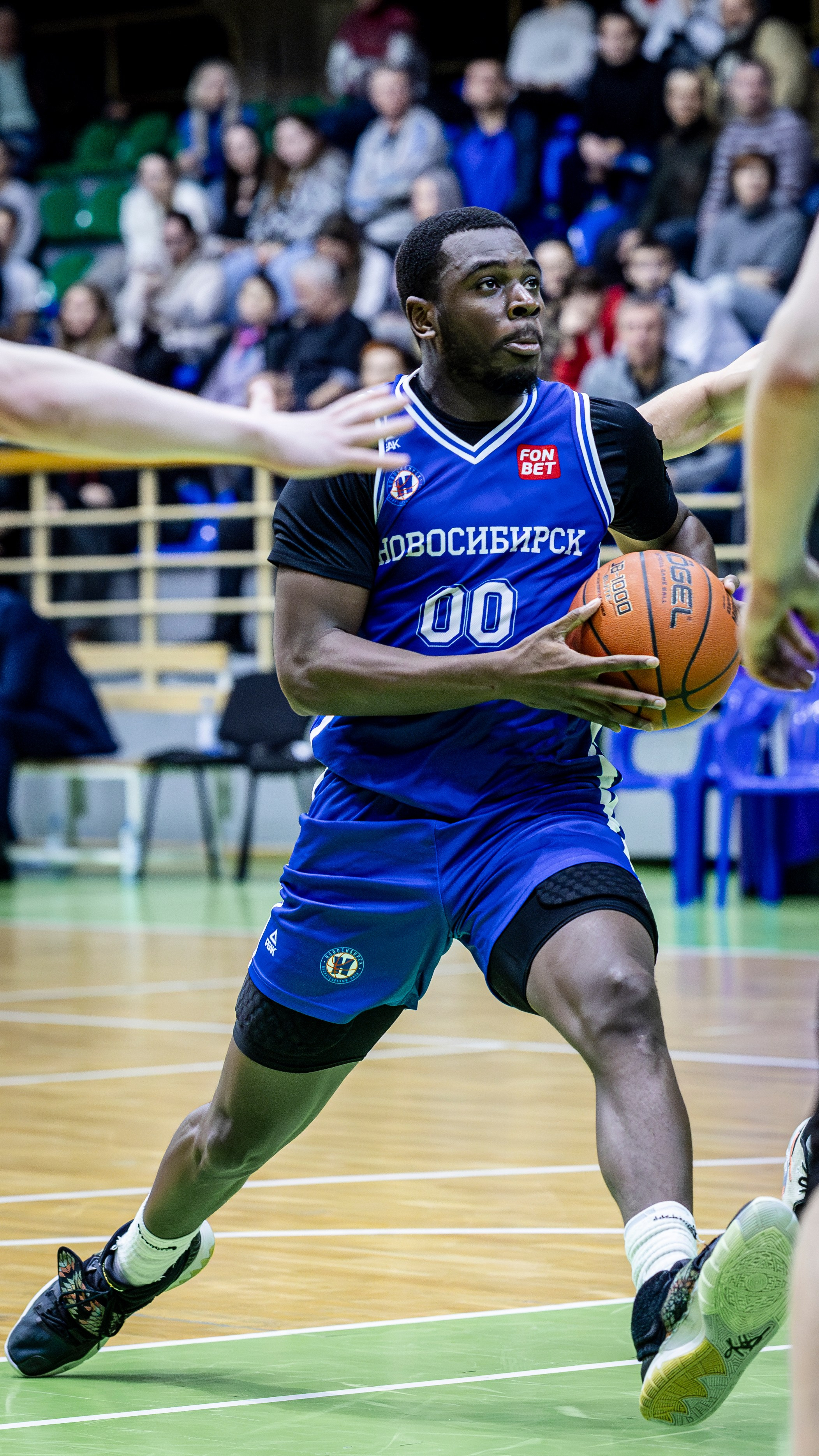 БК Новосибирск. Bertran Ordo