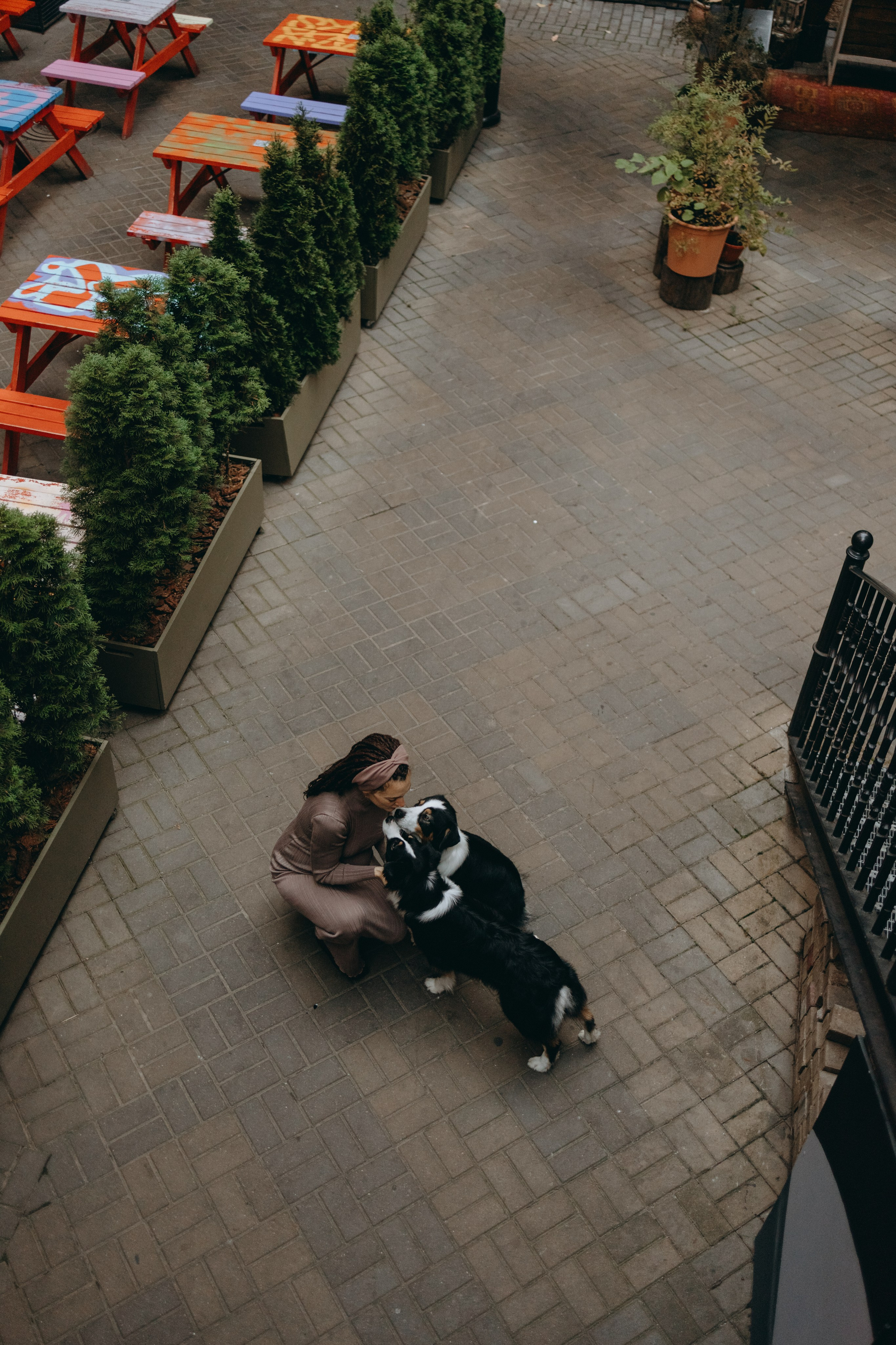 Катя и ее девочки. Фотограф — Анималист | Санкт-Петербург