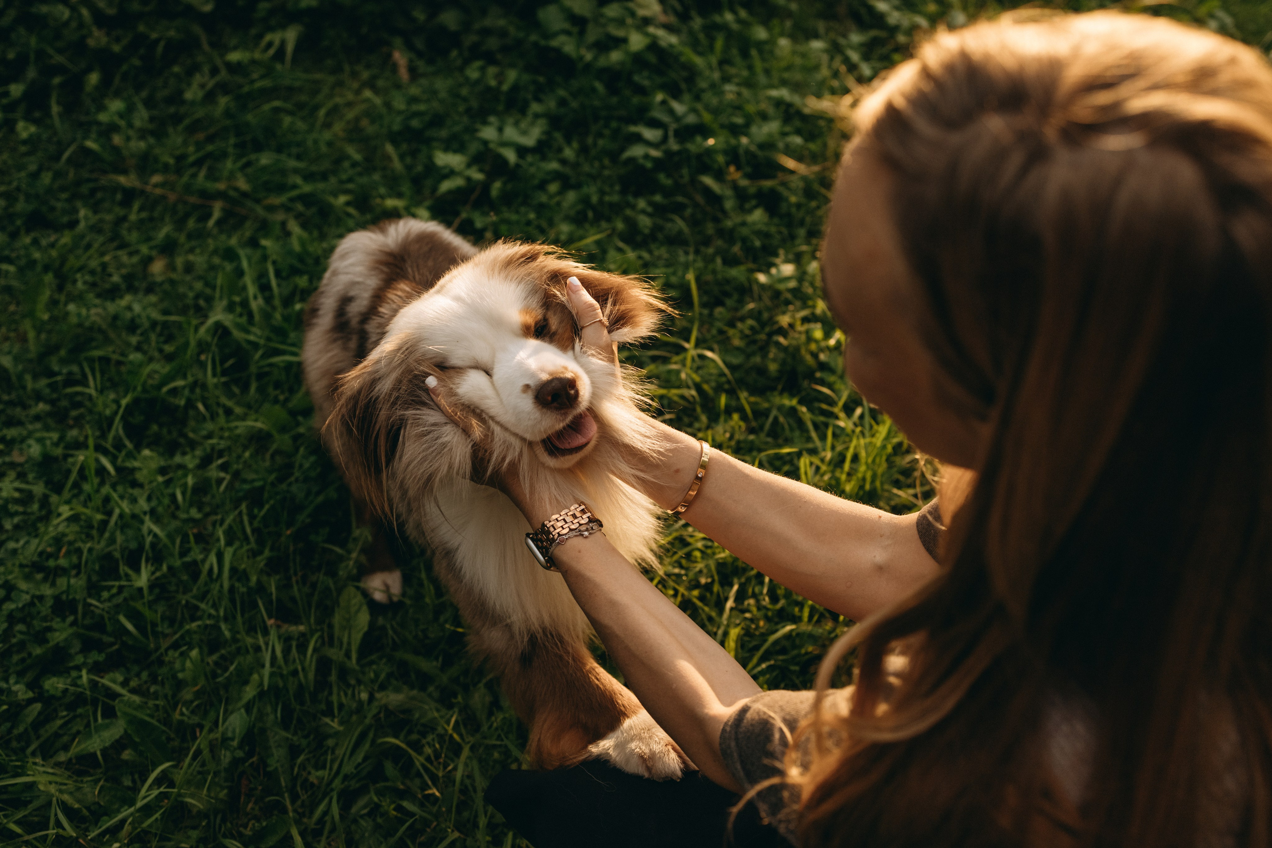 Маша и Эклер. Фотограф — Анималист | Санкт-Петербург