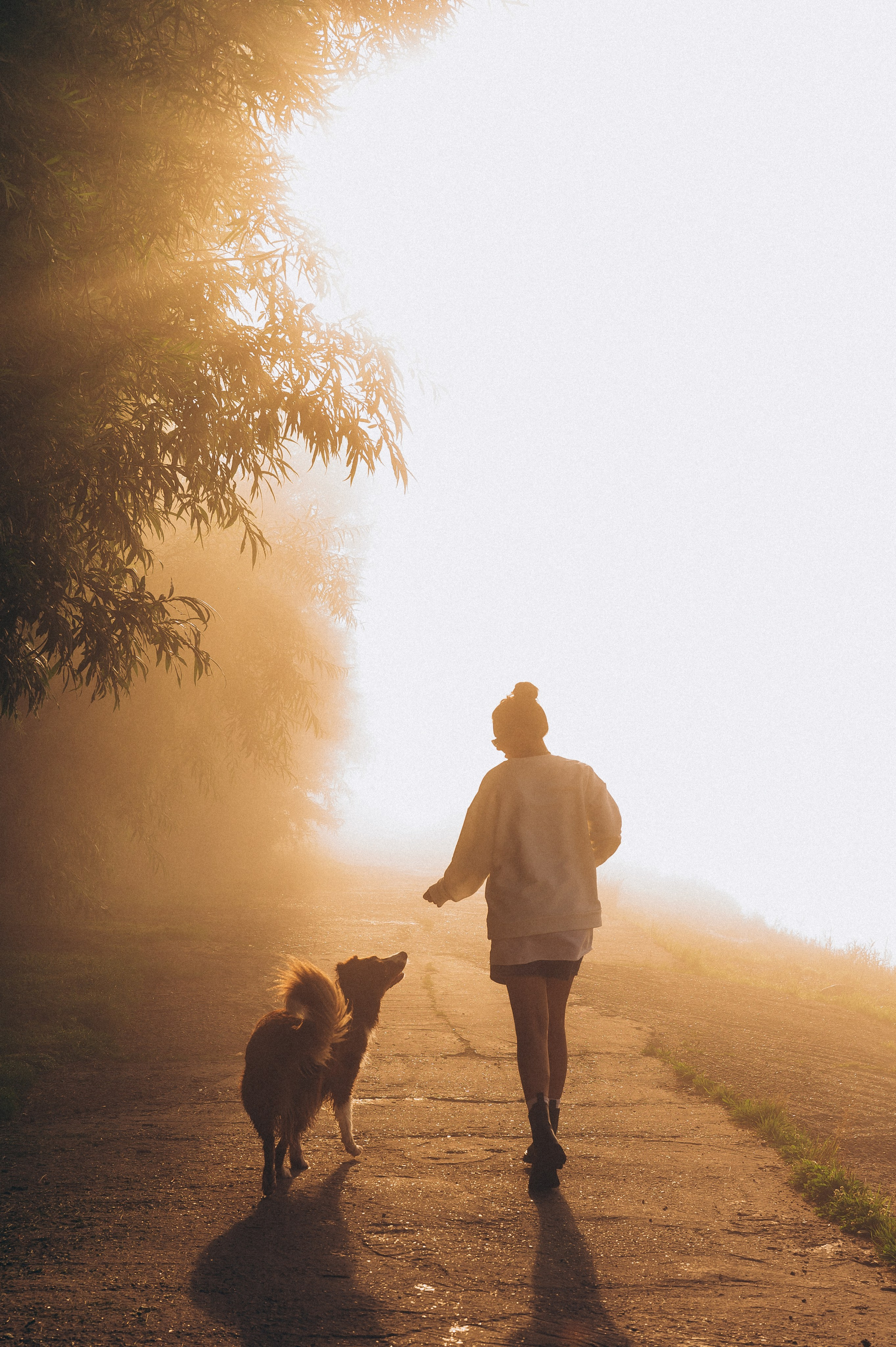 Настя и Оушен. Семейный и свадебный фотограф в Красноярске Садкеева Юлия