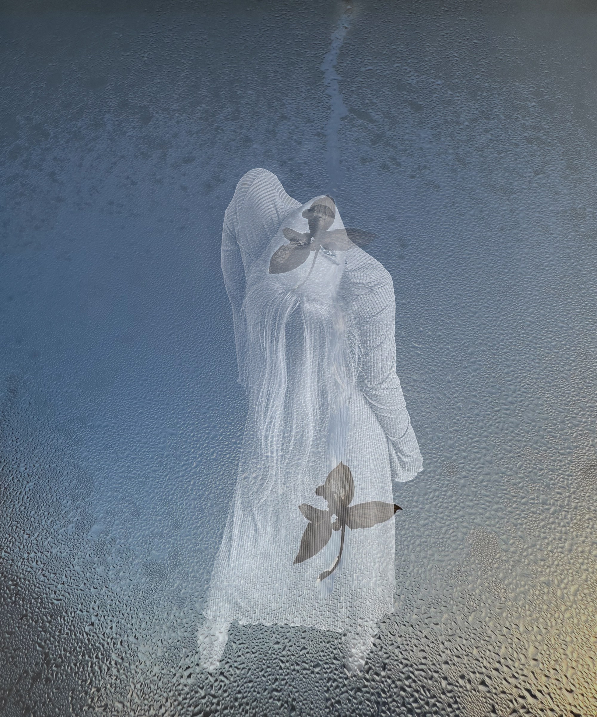 Визуальный художник Ольга Кутерина